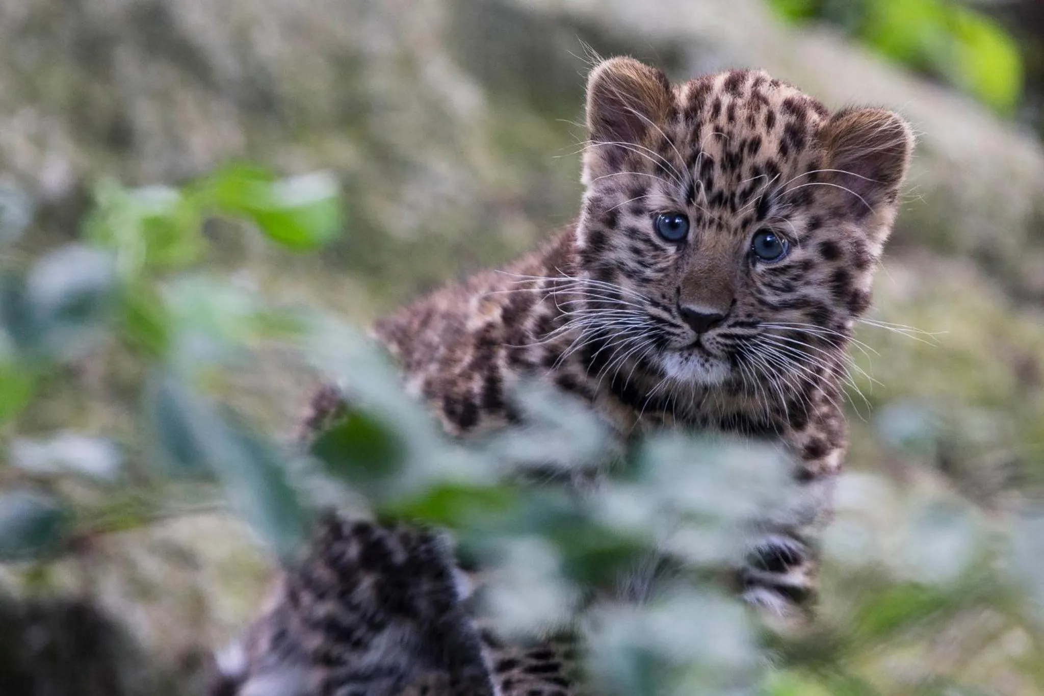 Nearby landmark in voco Winchester Hotel & Spa by IHG