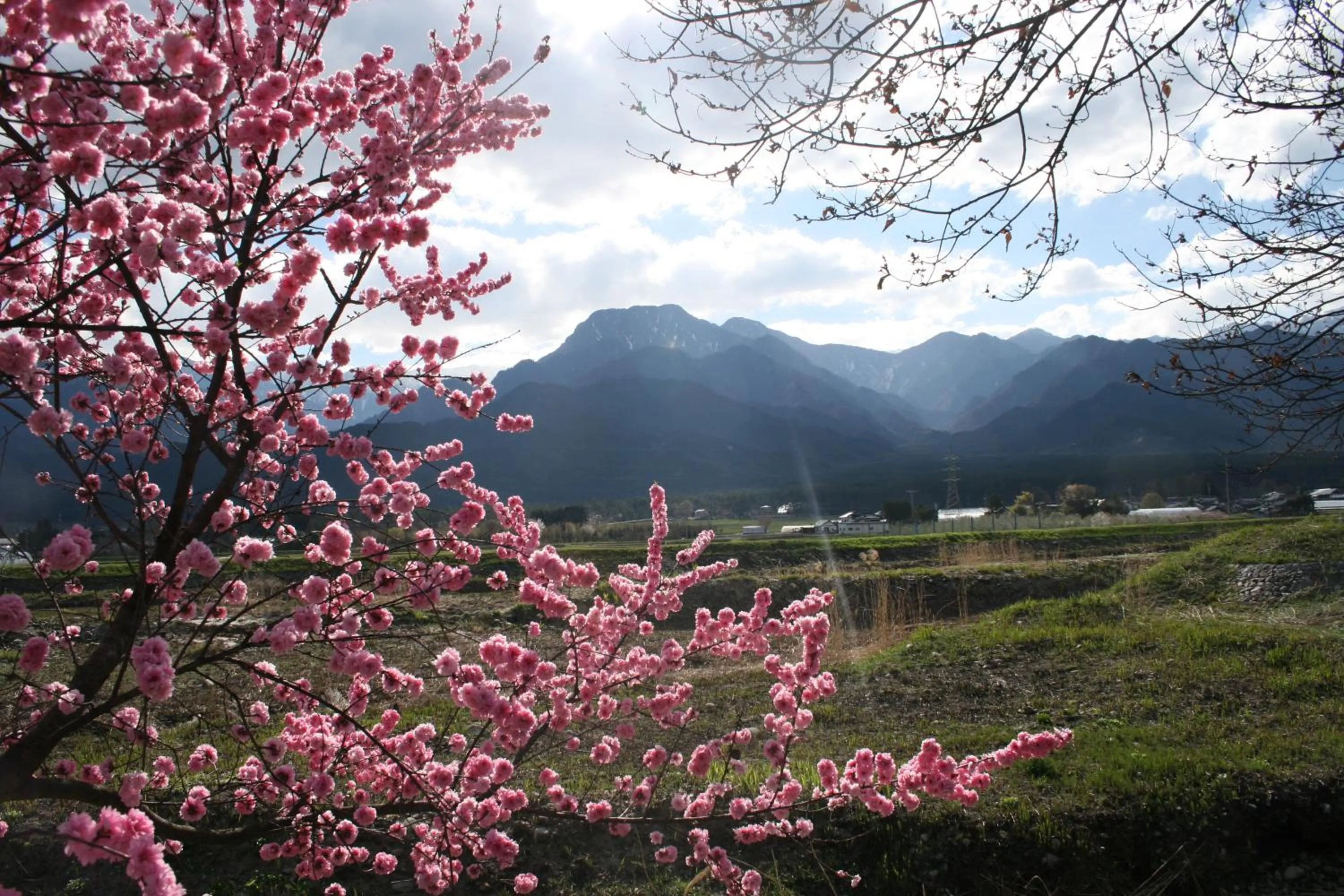 Neighbourhood in Azumino Backpackers 山の風