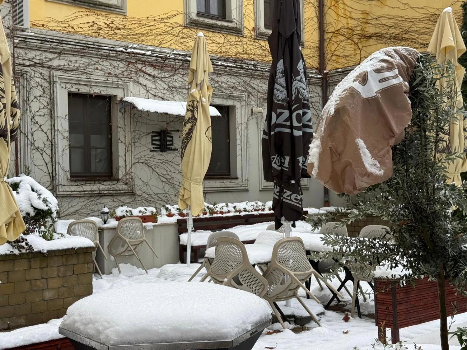 Inner courtyard view in Aparthotel Iosefin Residence