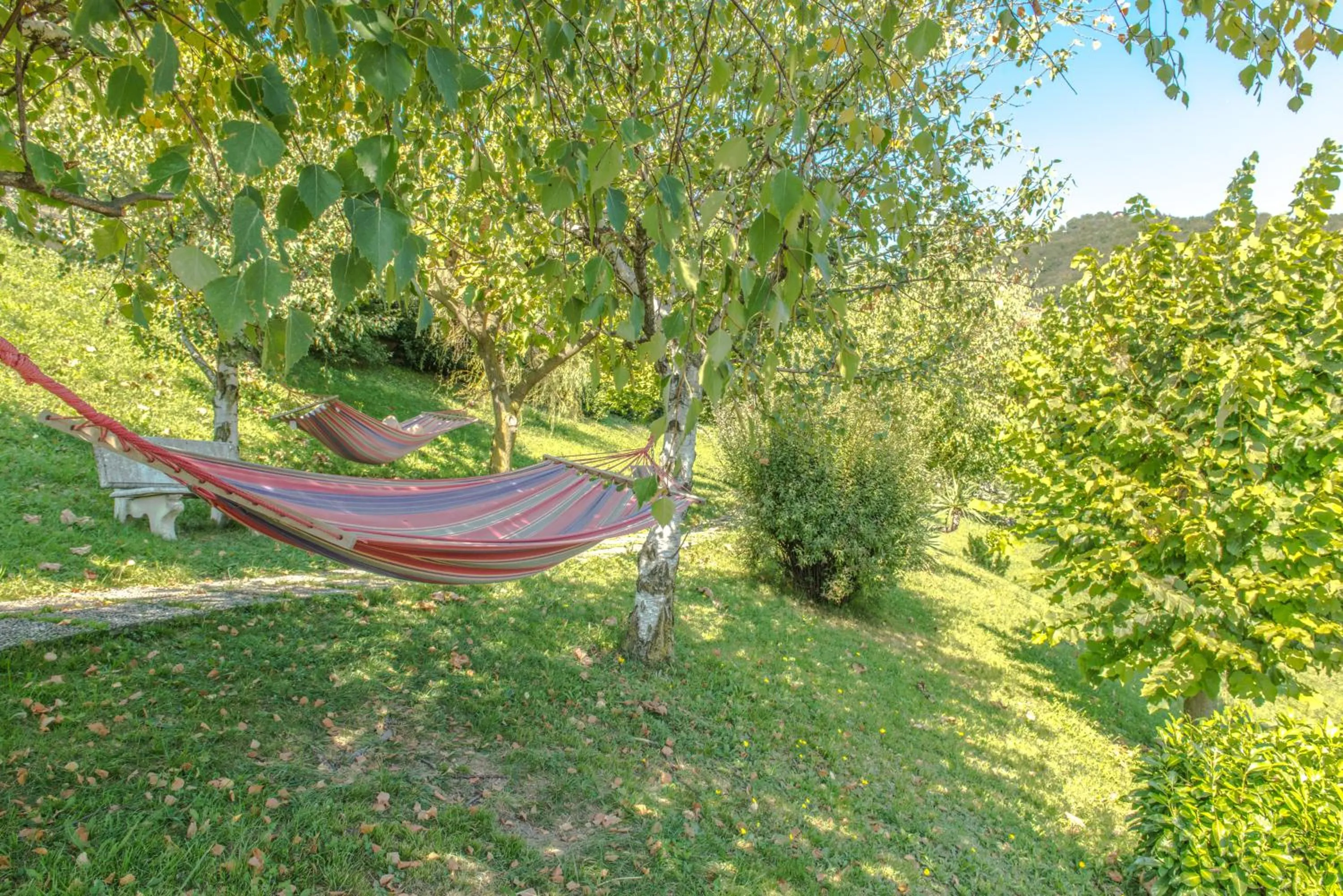 Garden in Village Hotel Lucia