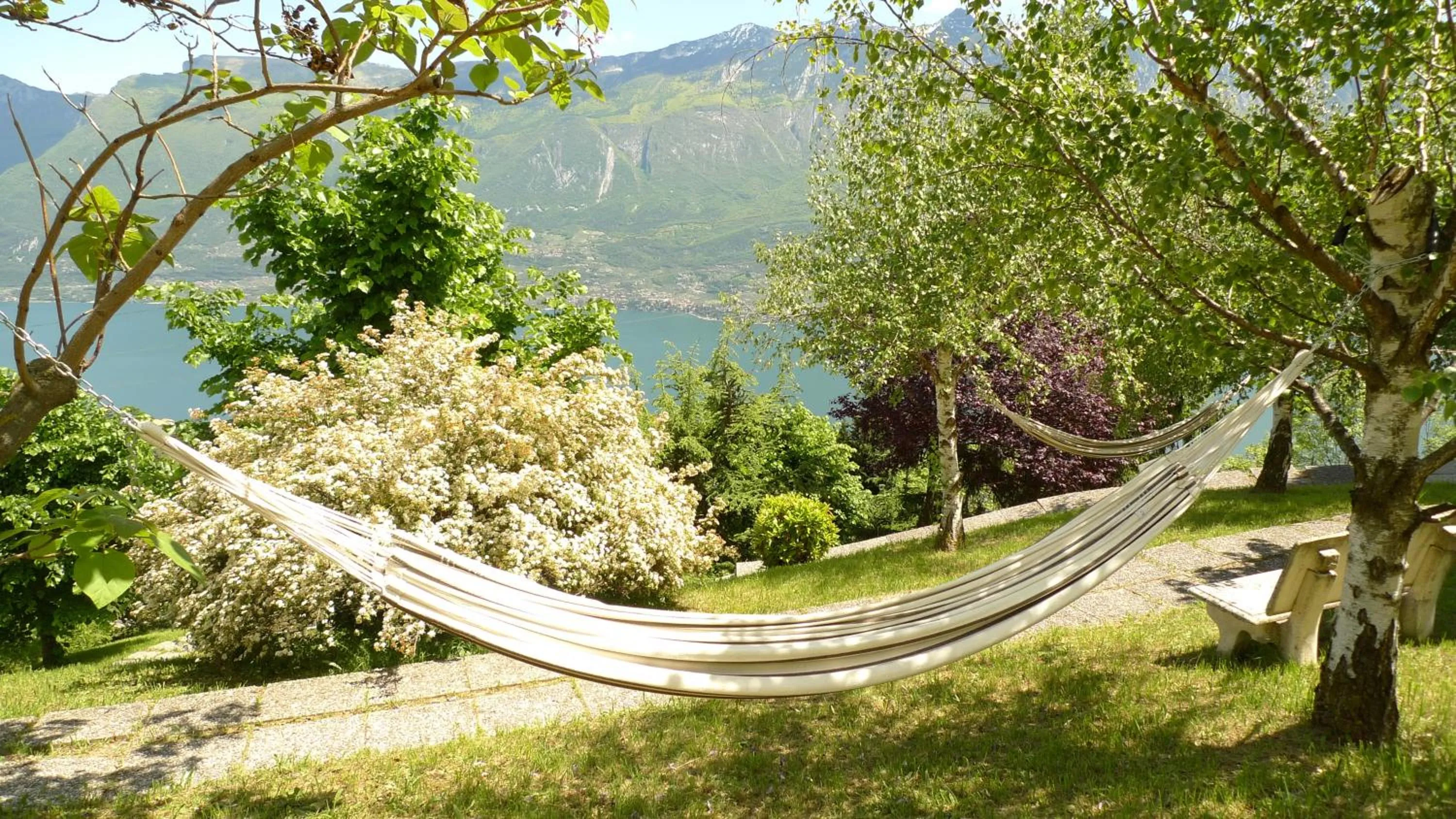 Garden in Village Hotel Lucia