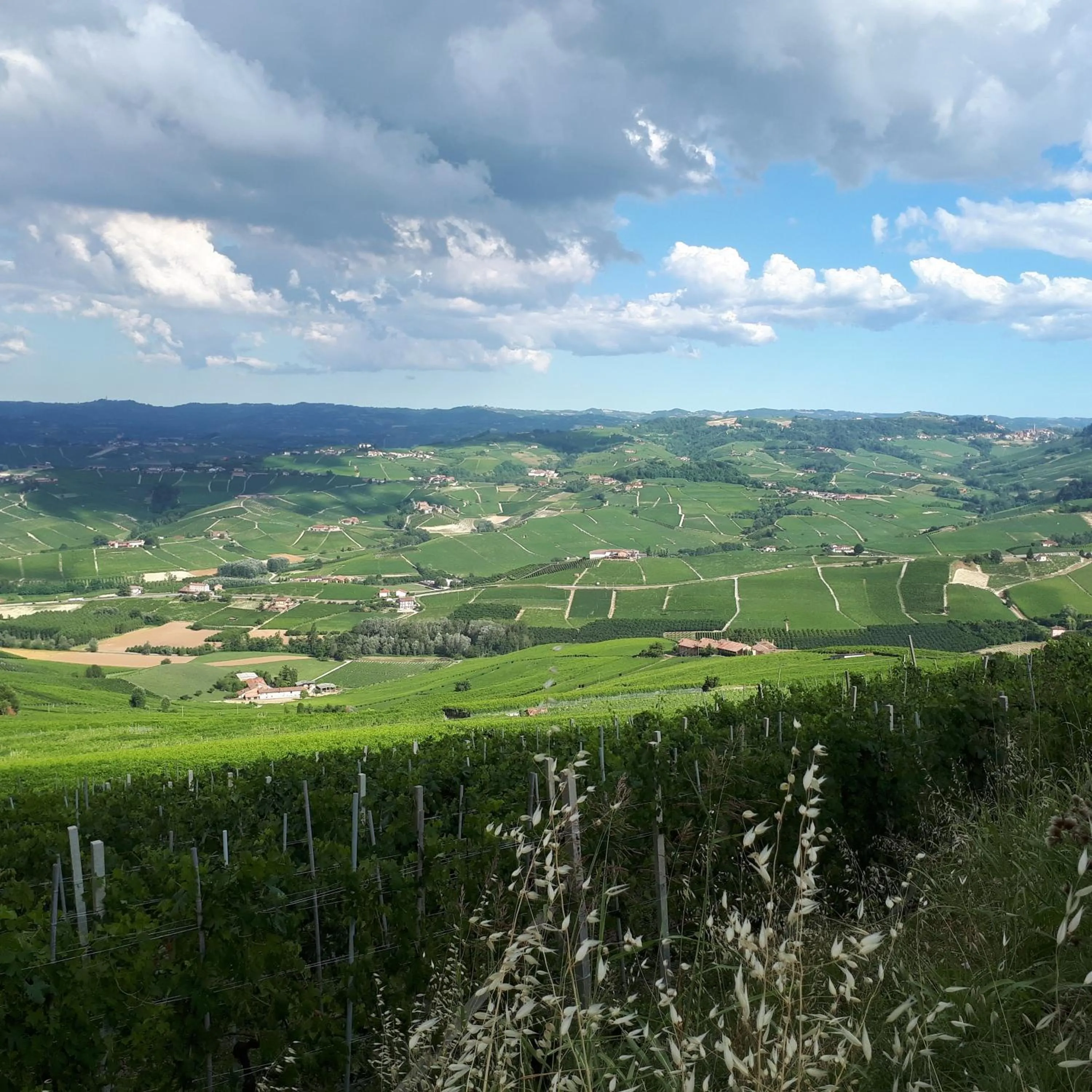 Day in B&B Fior Di Farine