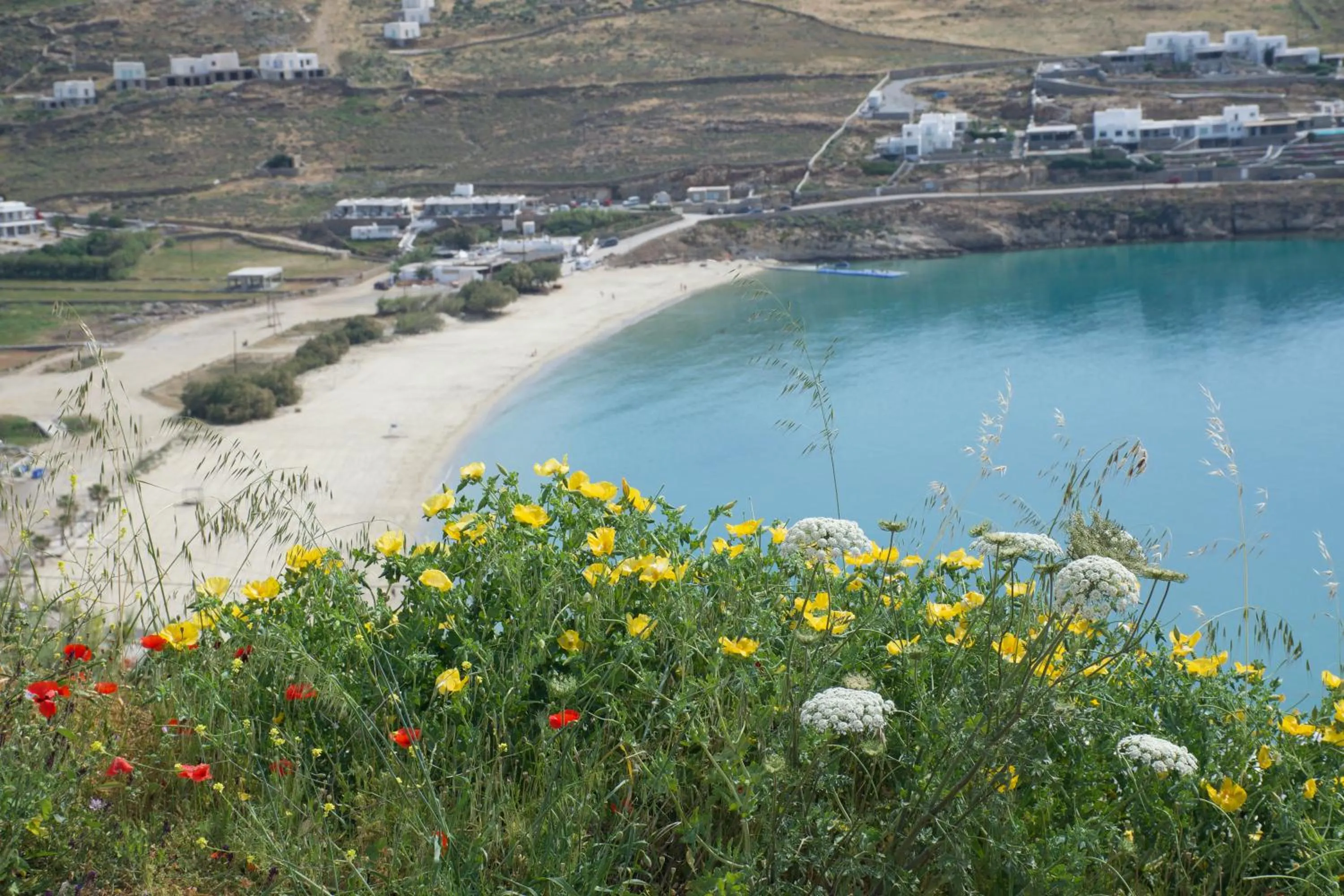 Beach in Andromeda Mykonos Villas & Suites
