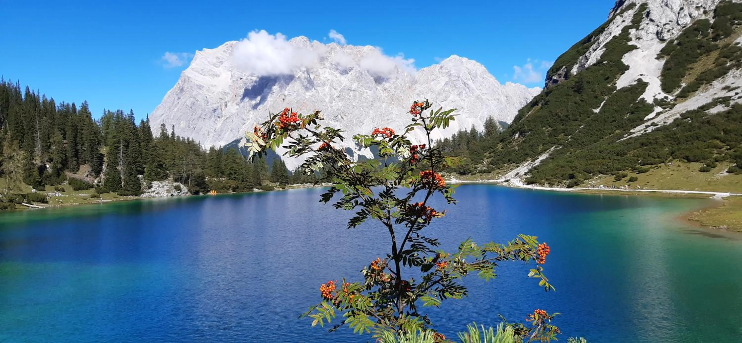 Summer in Haus Alpenblick