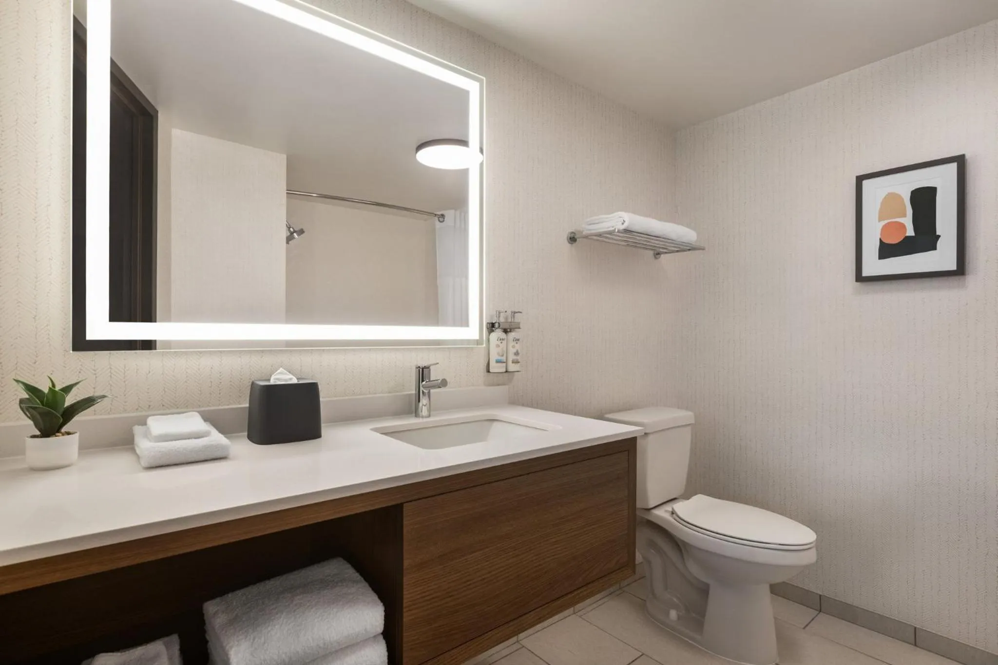 Bathroom in Holiday Inn Nashville Downtown - Stadium by IHG