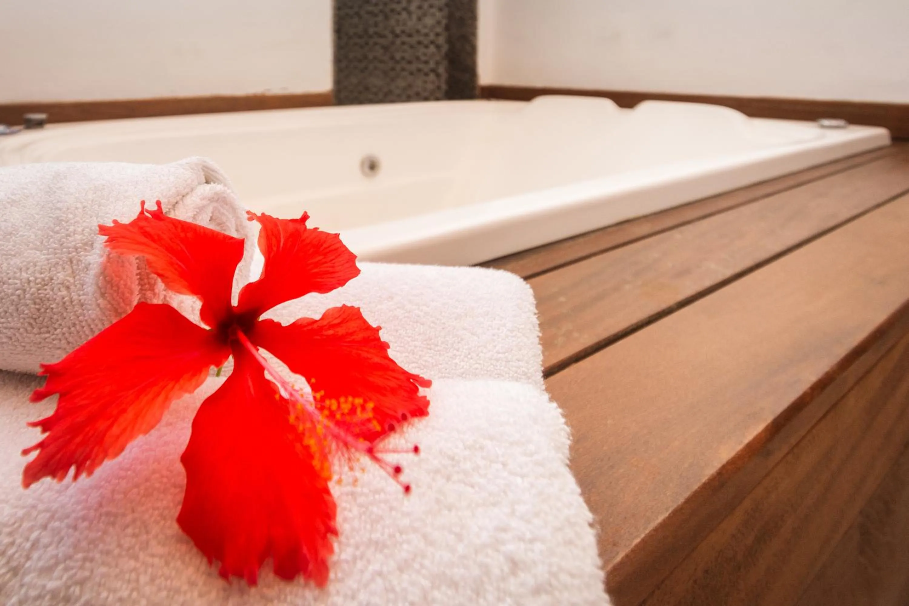 Hot Tub, Bed in Côte D`azur Buzios