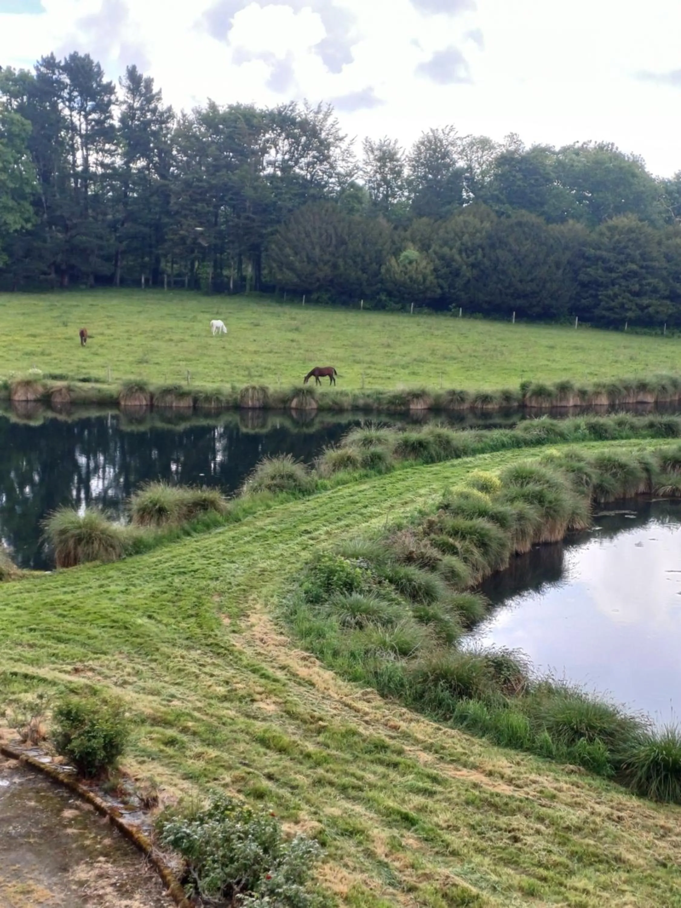 View (from property/room) in Manoir Du Stang