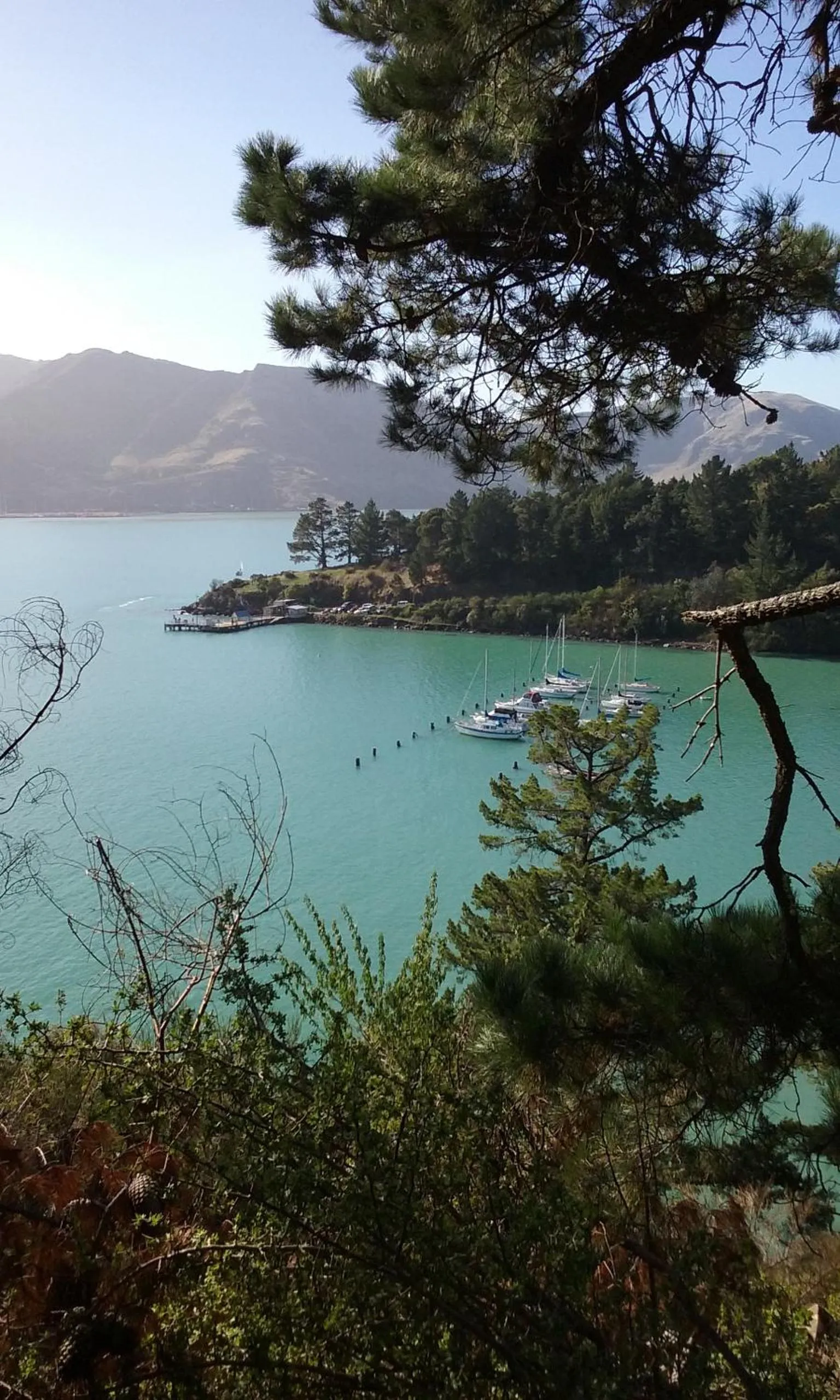 Other in Magnolia Cottage