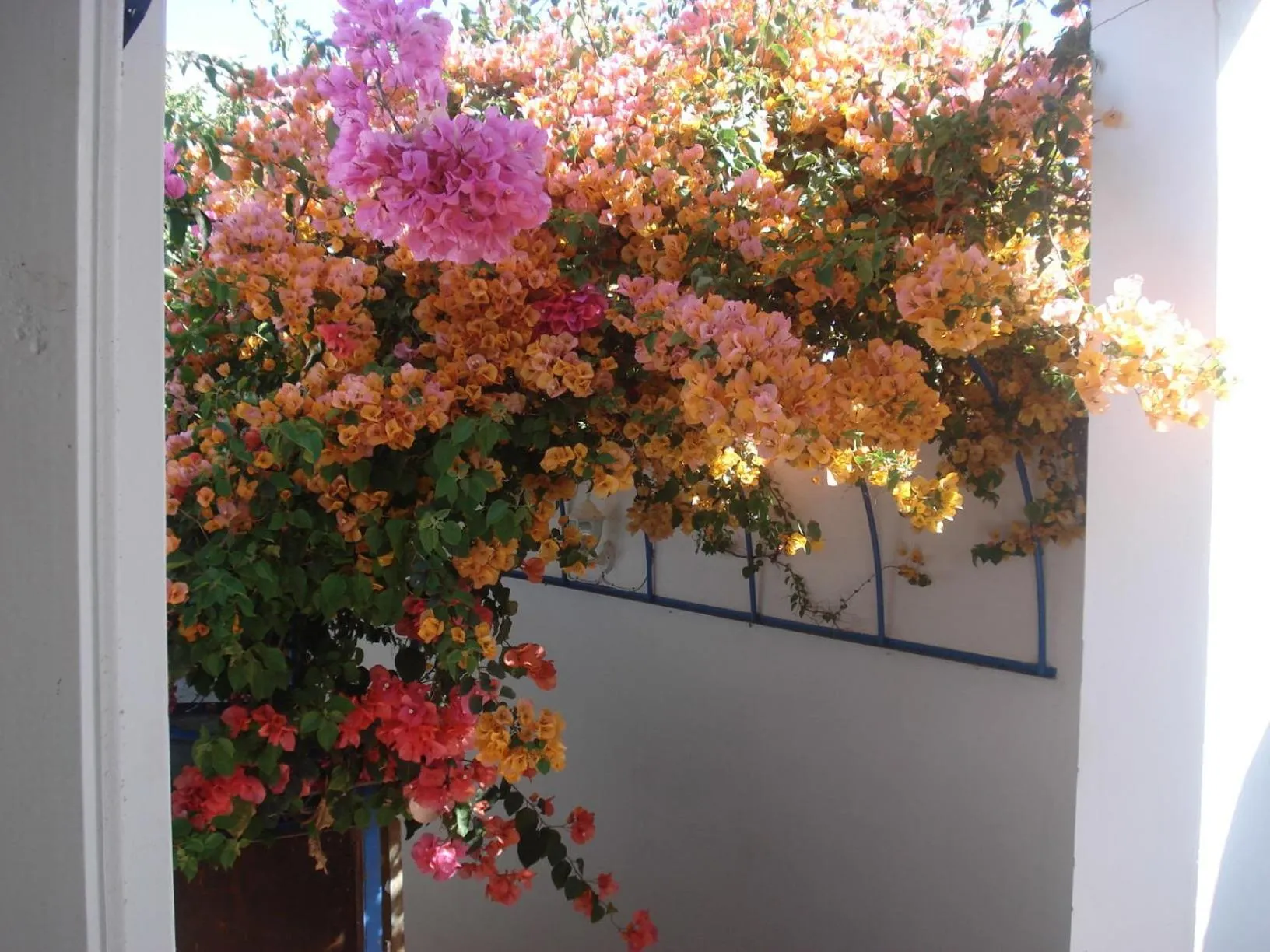 Decorative detail in Riad Marlinea