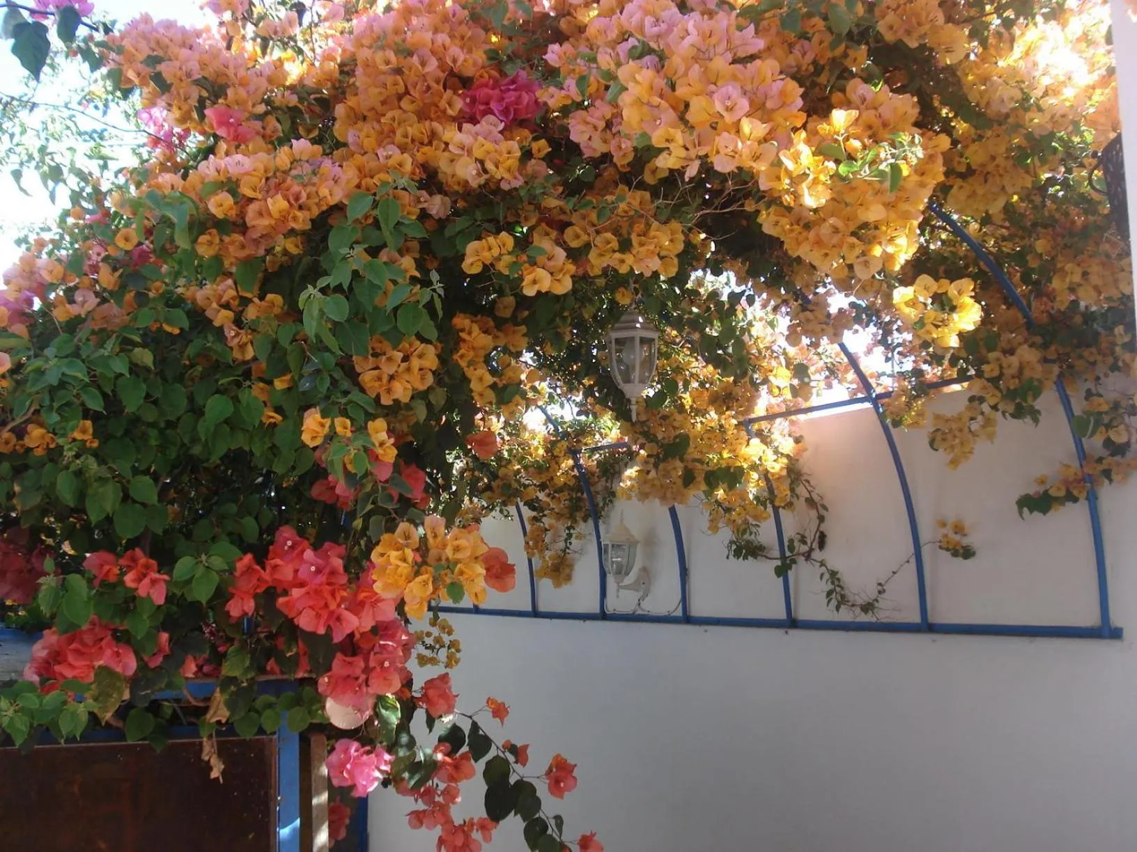 Day in Riad Marlinea