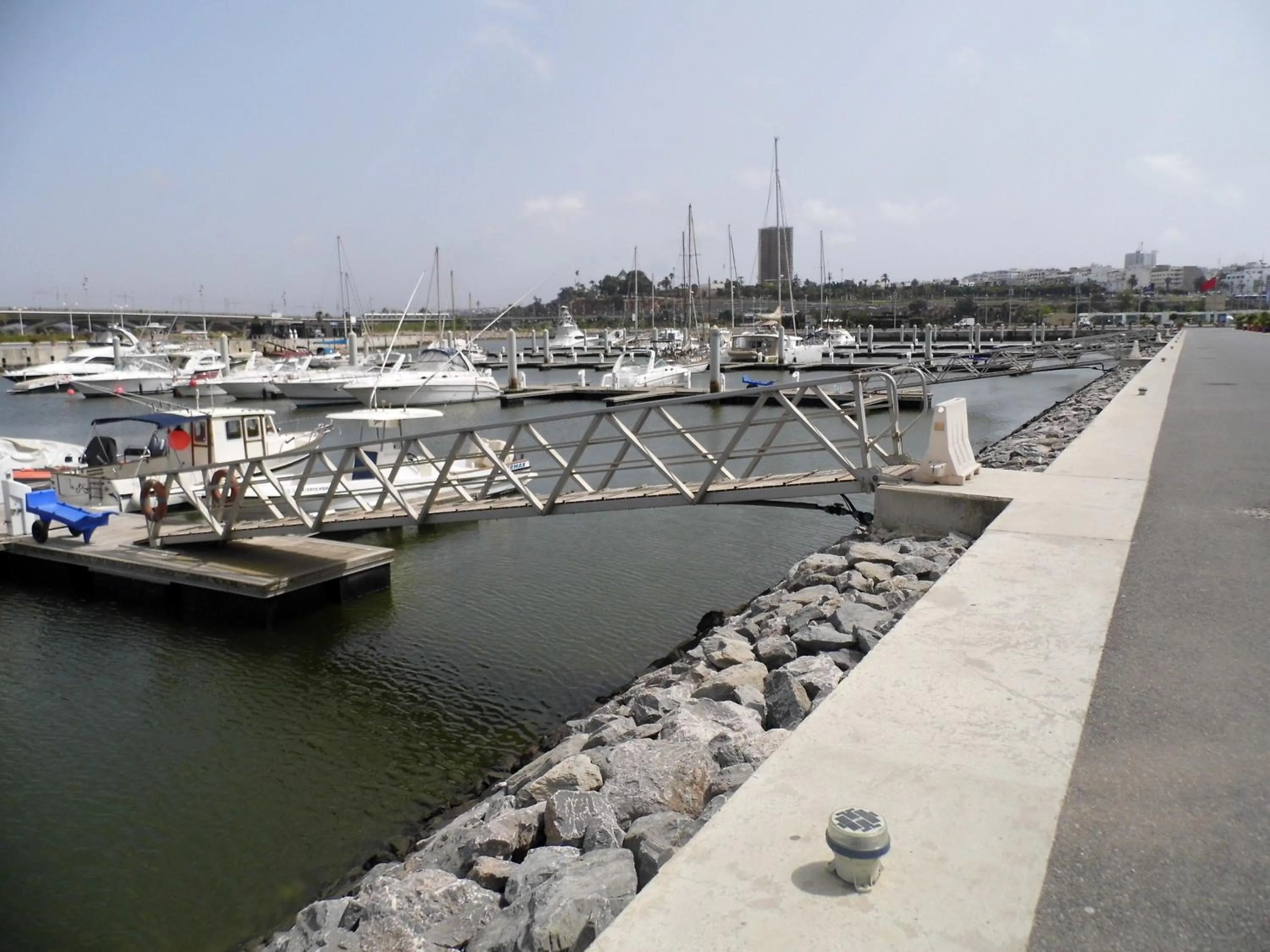 Day in Riad Marlinea