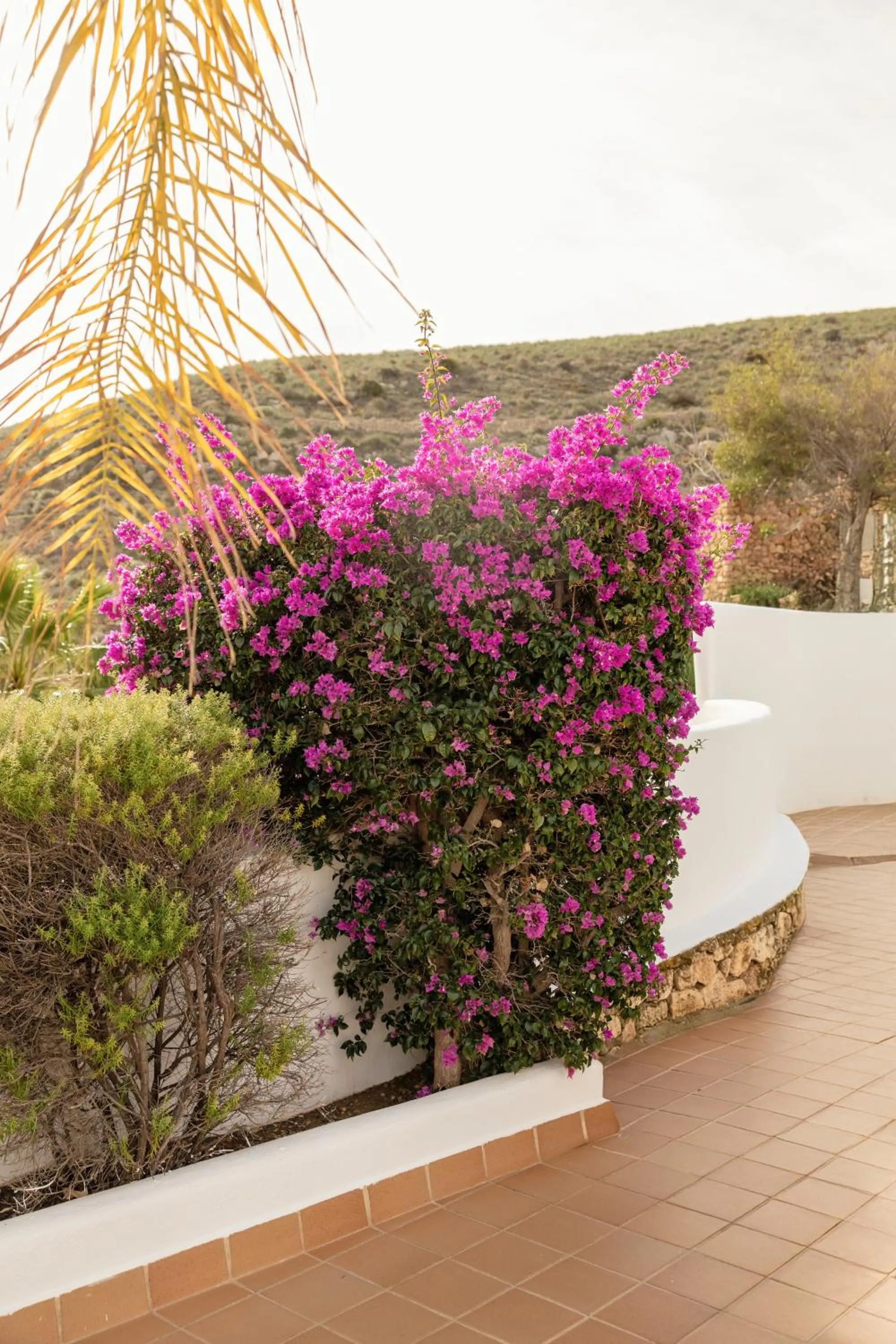 Garden in Siete Villas Olivencia Natural