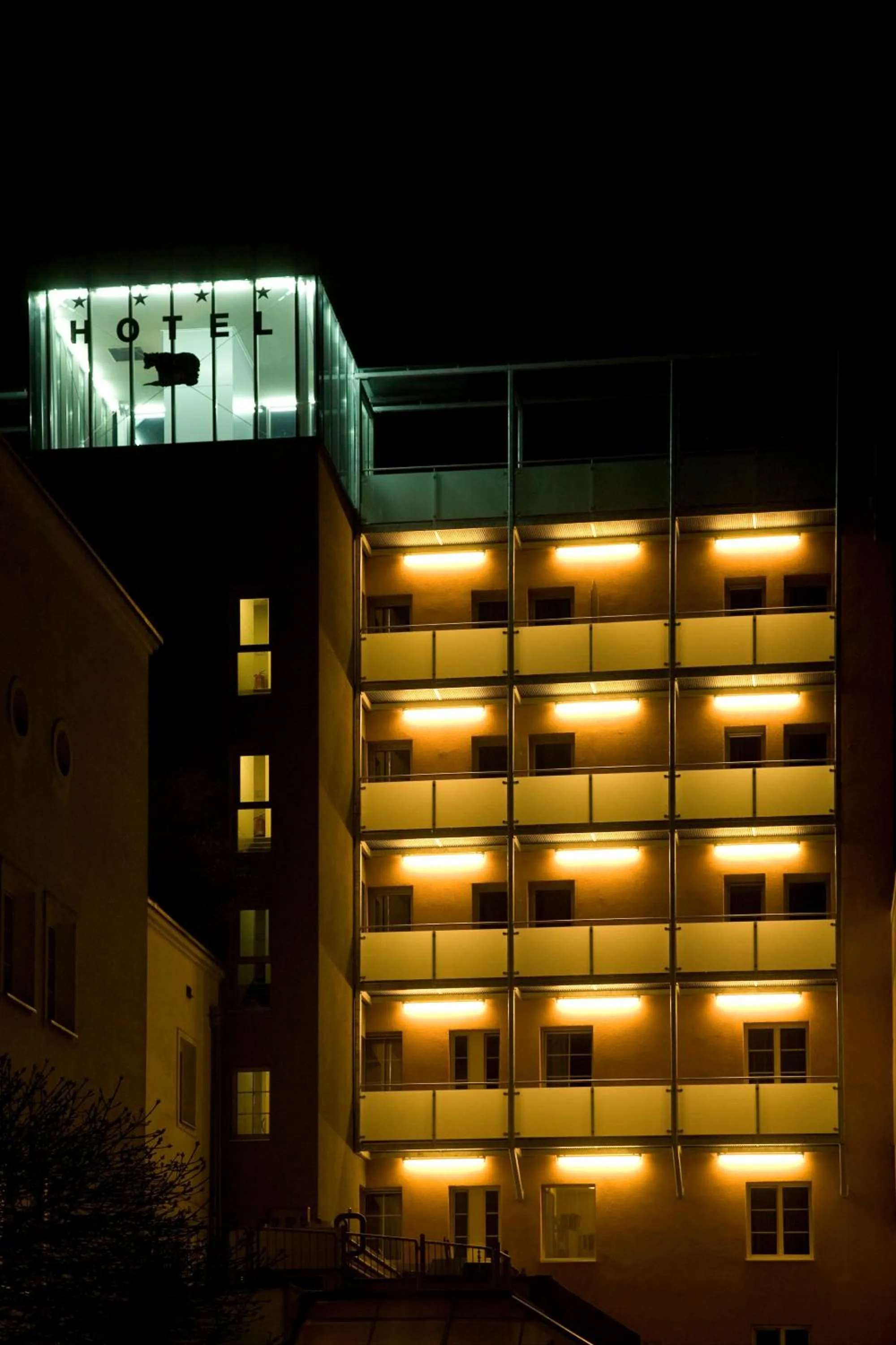 Facade/entrance in Hotel Schwarzer Bär