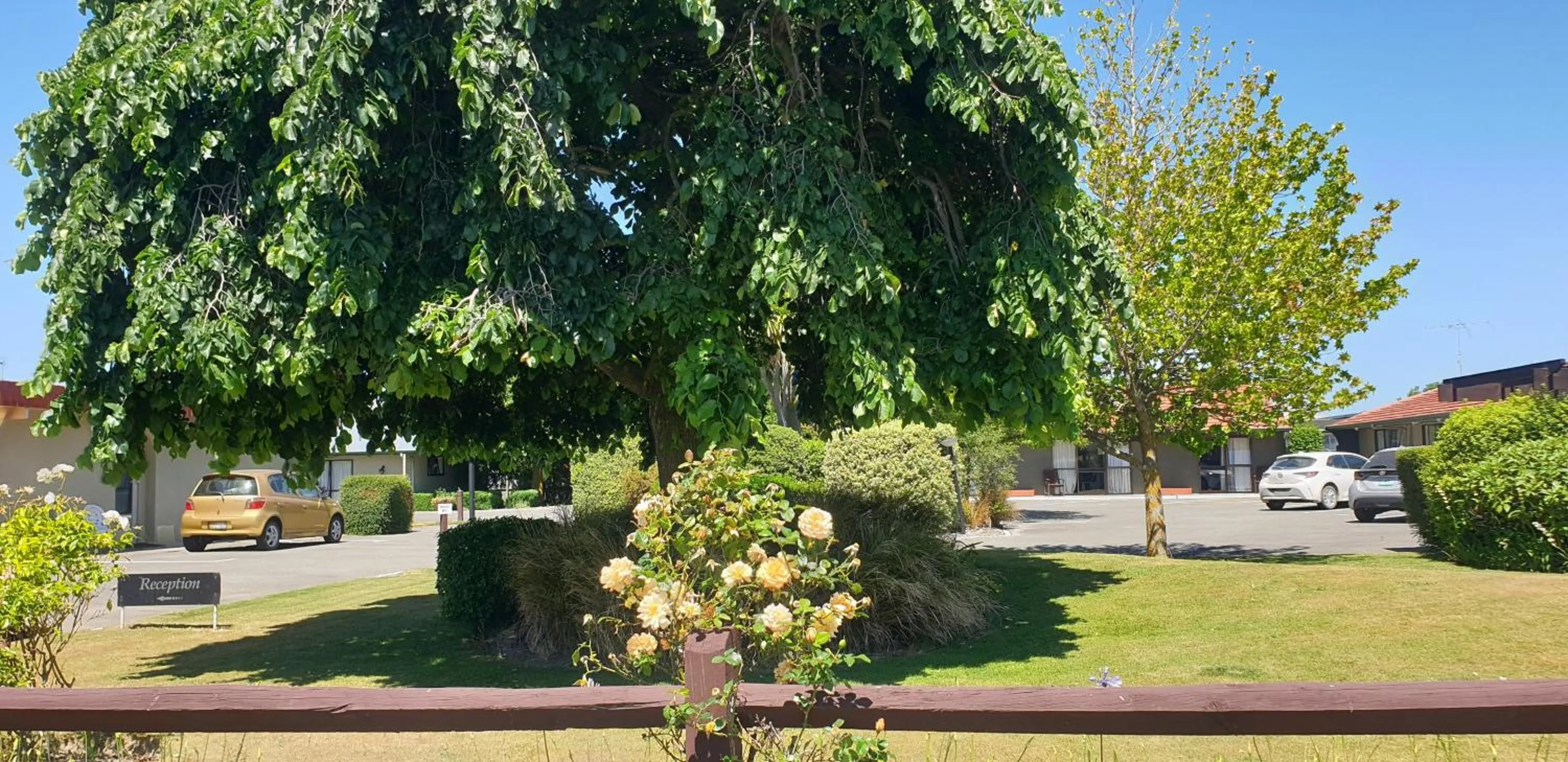 Garden in Commodore Motor Lodge