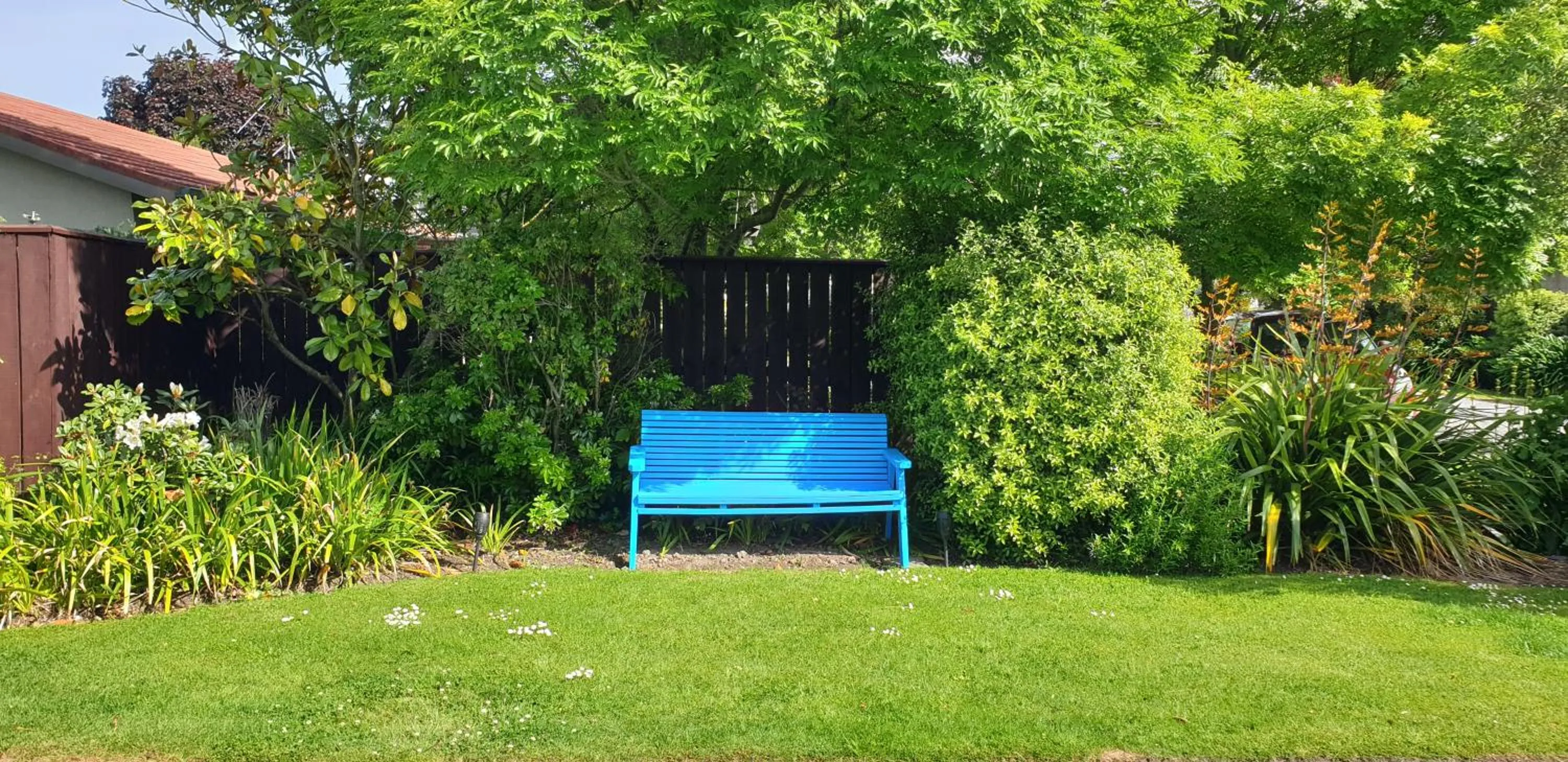 Garden in Commodore Motor Lodge