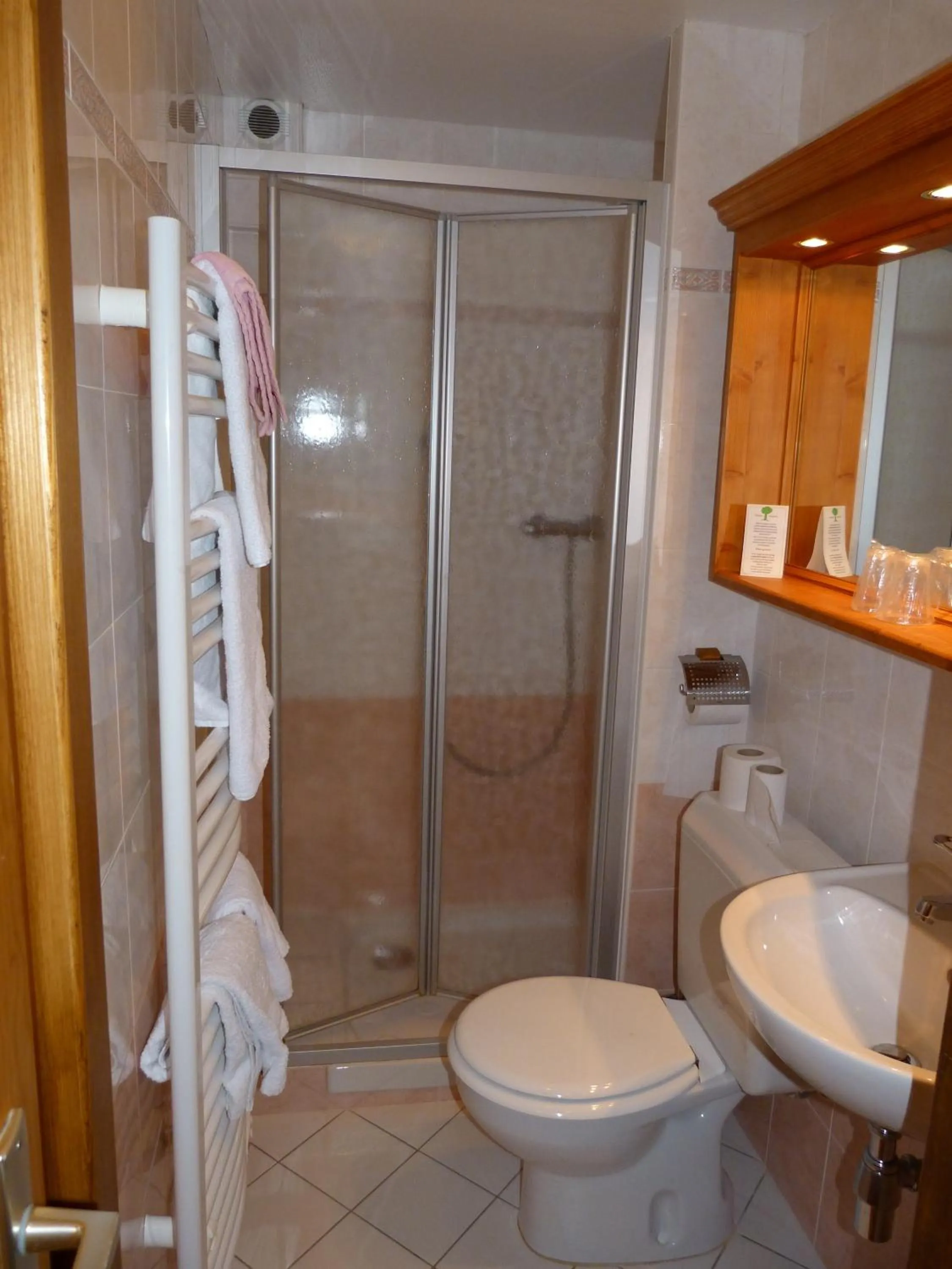Shower in Hôtel Belalp