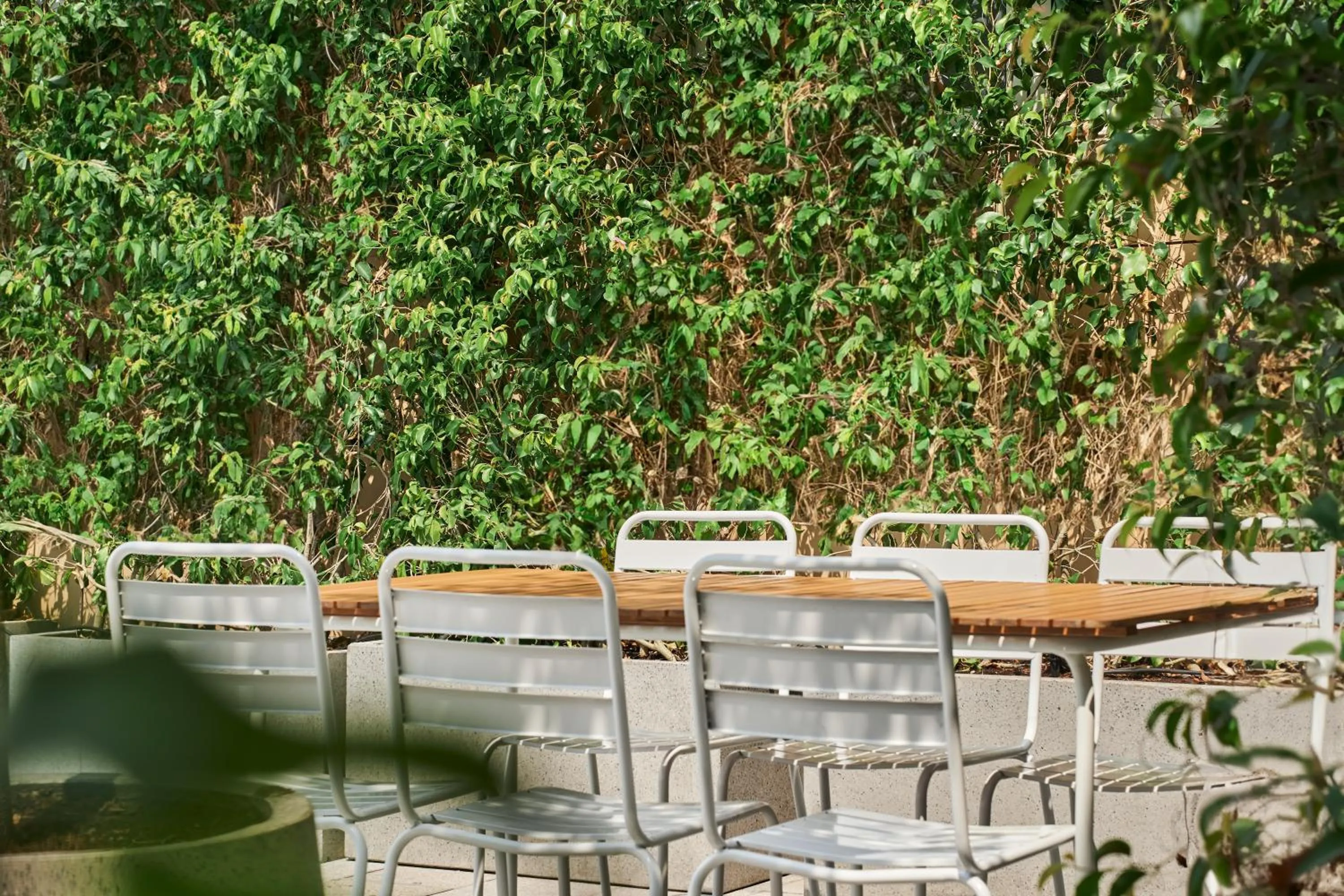 Restaurant/places to eat in Blue Diamond Hotel