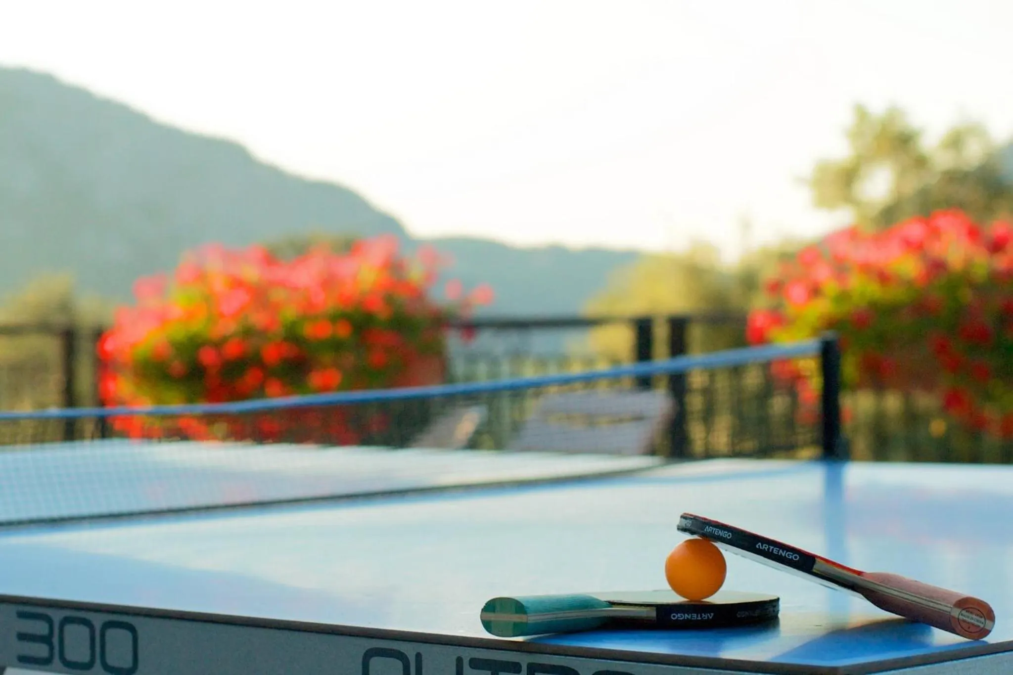 Day in Logis Hotel Restaurant La Porte des Cévennes