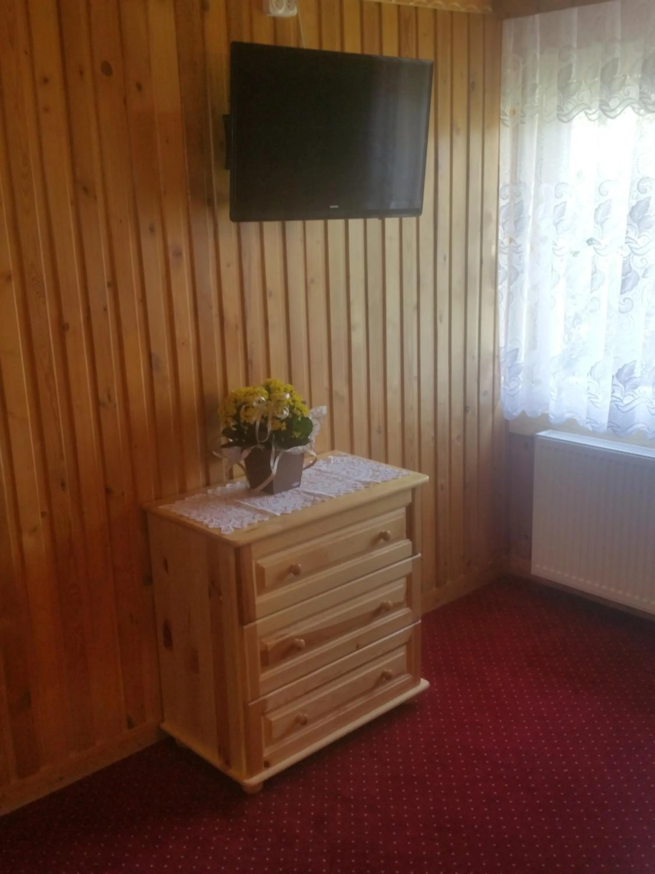 TV and multimedia in Dom wypoczynkowy U Kuby