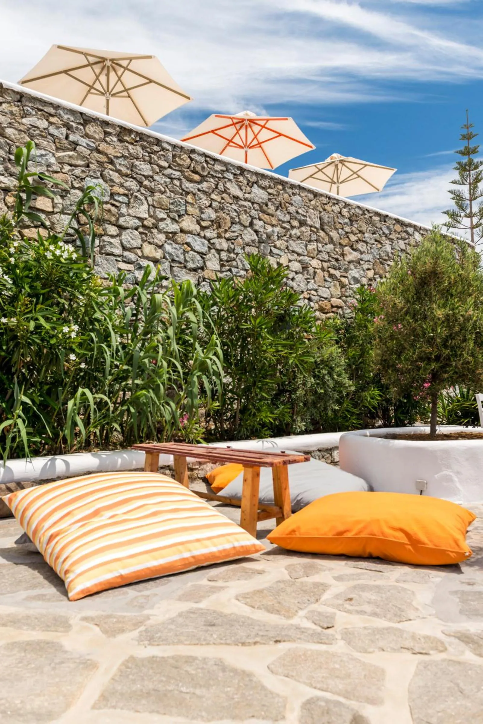 Activities in Artemoula's Studios