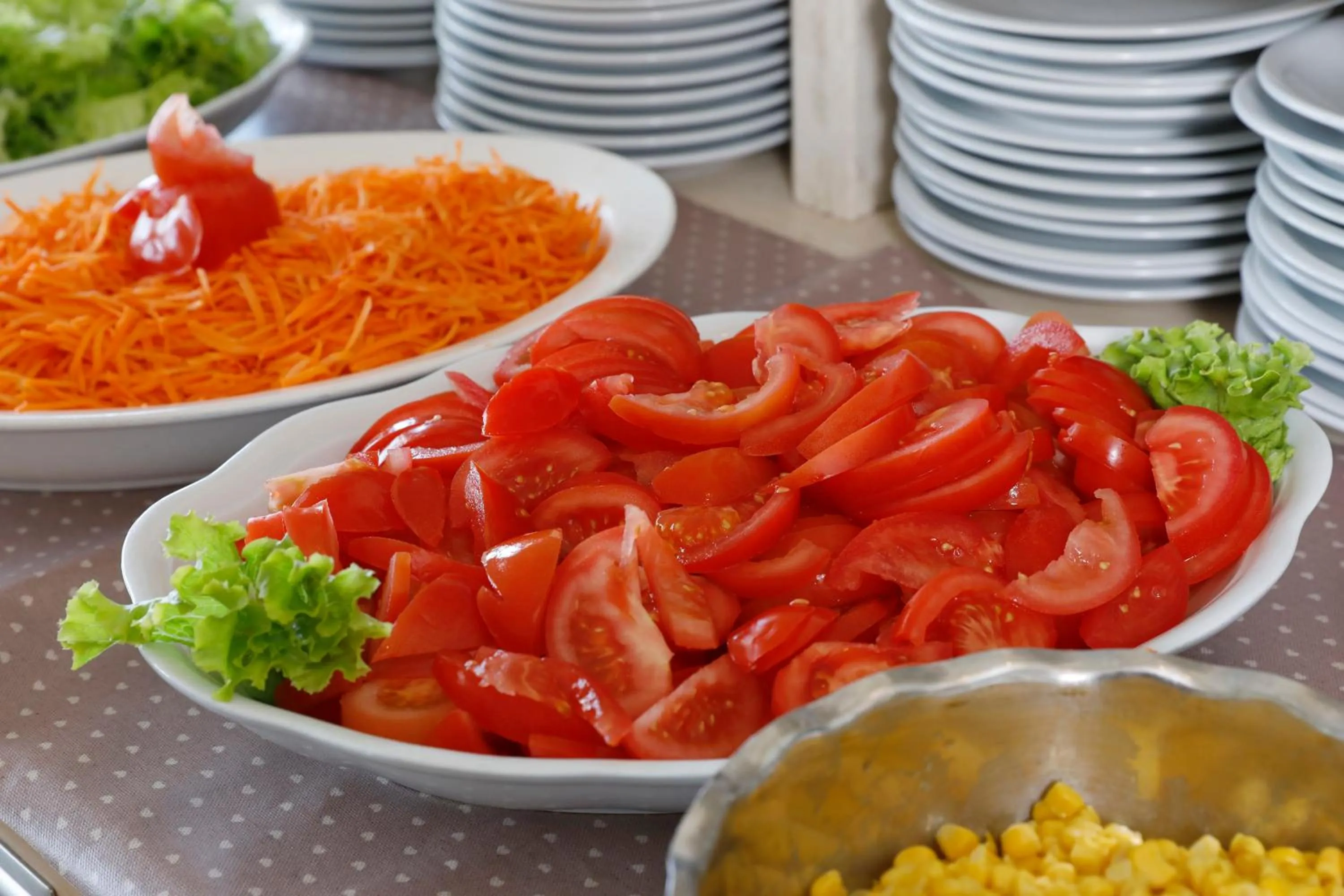 Meals in Hotel Lungomare