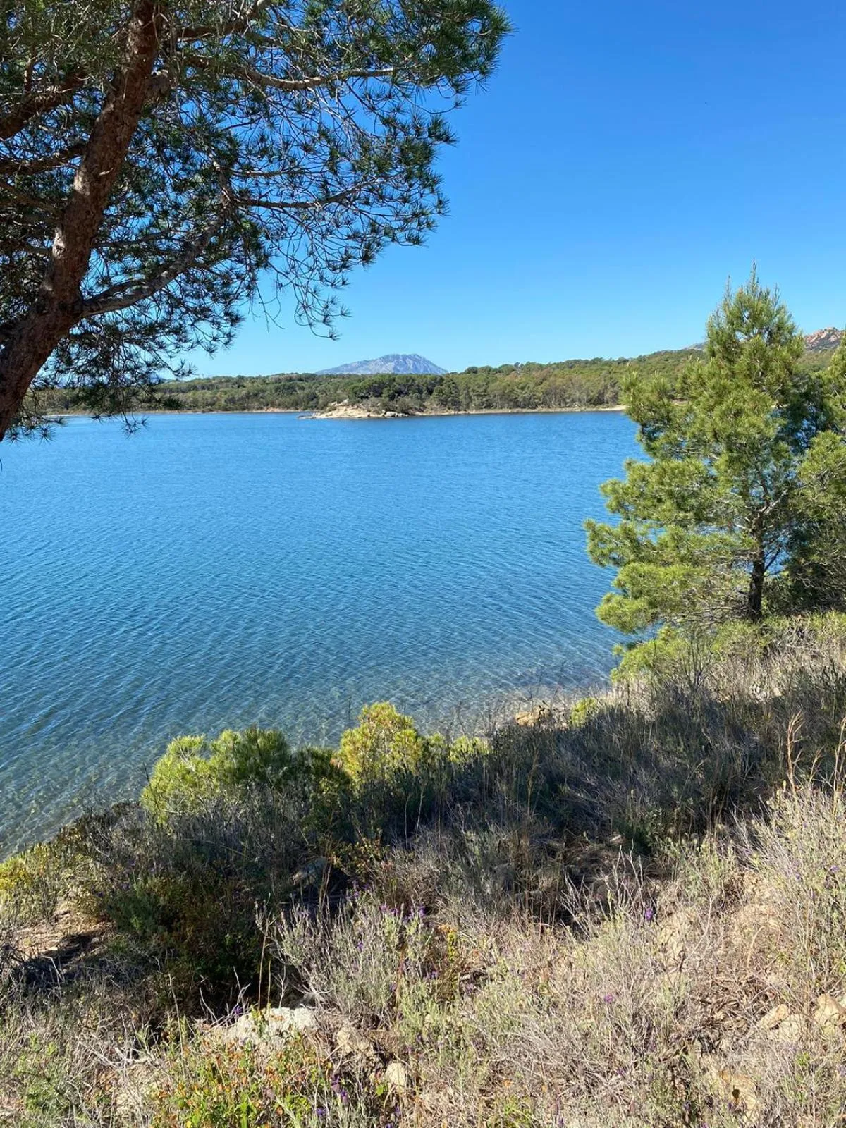 Nearby landmark in The square