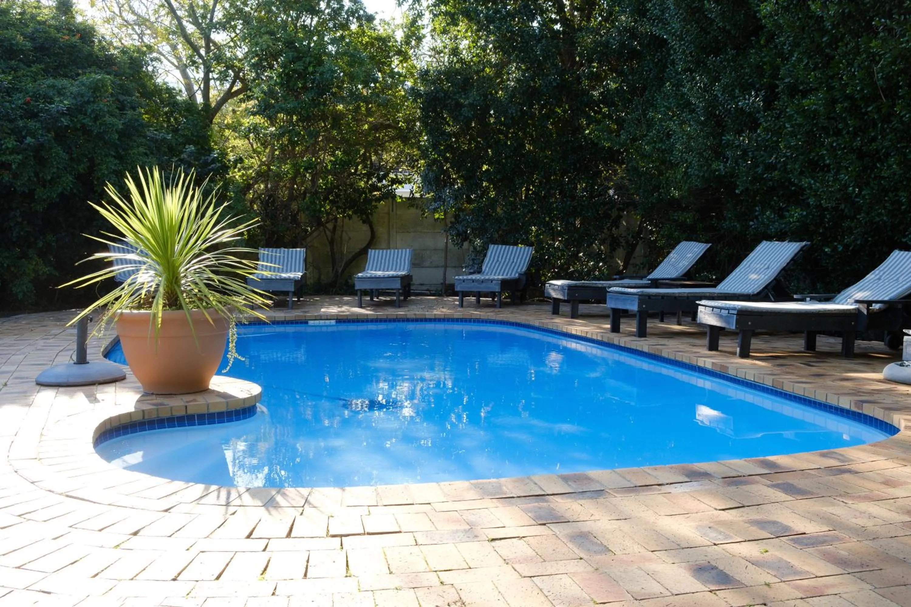 Swimming pool in Constantia White Lodge Guest House
