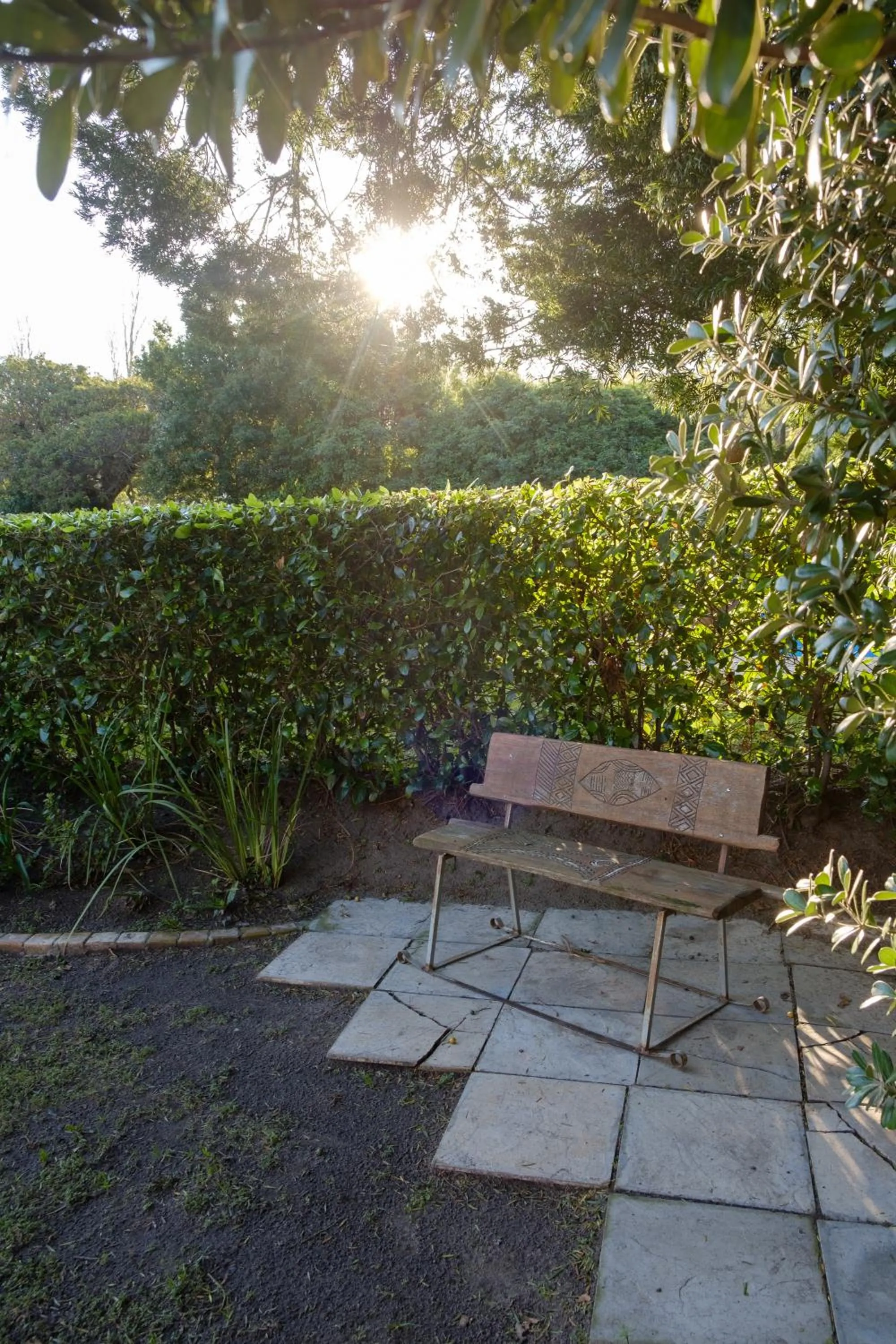 Area and facilities in Constantia White Lodge Guest House