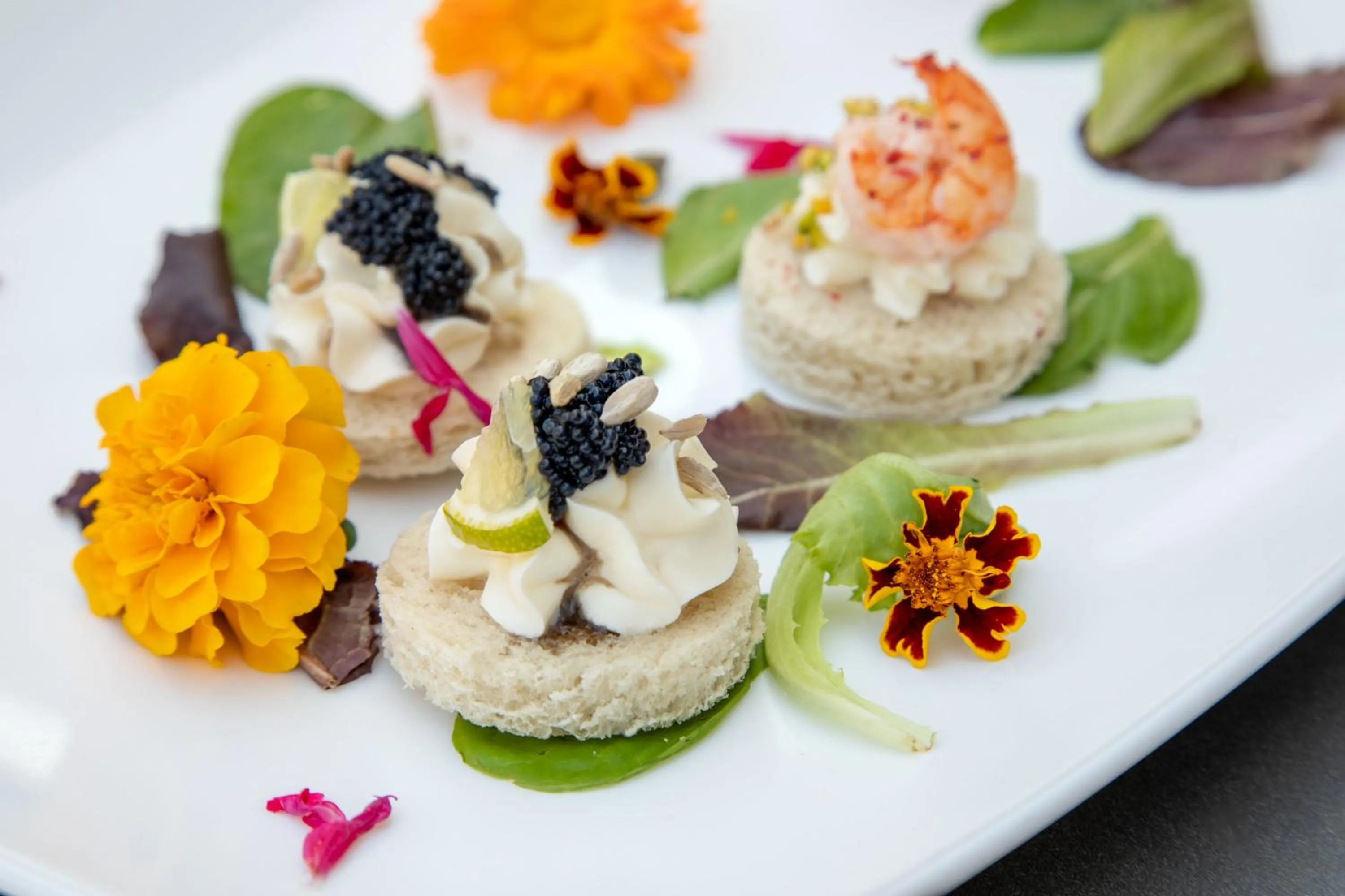 Food close-up in Alla Corte Delle Terme Resort