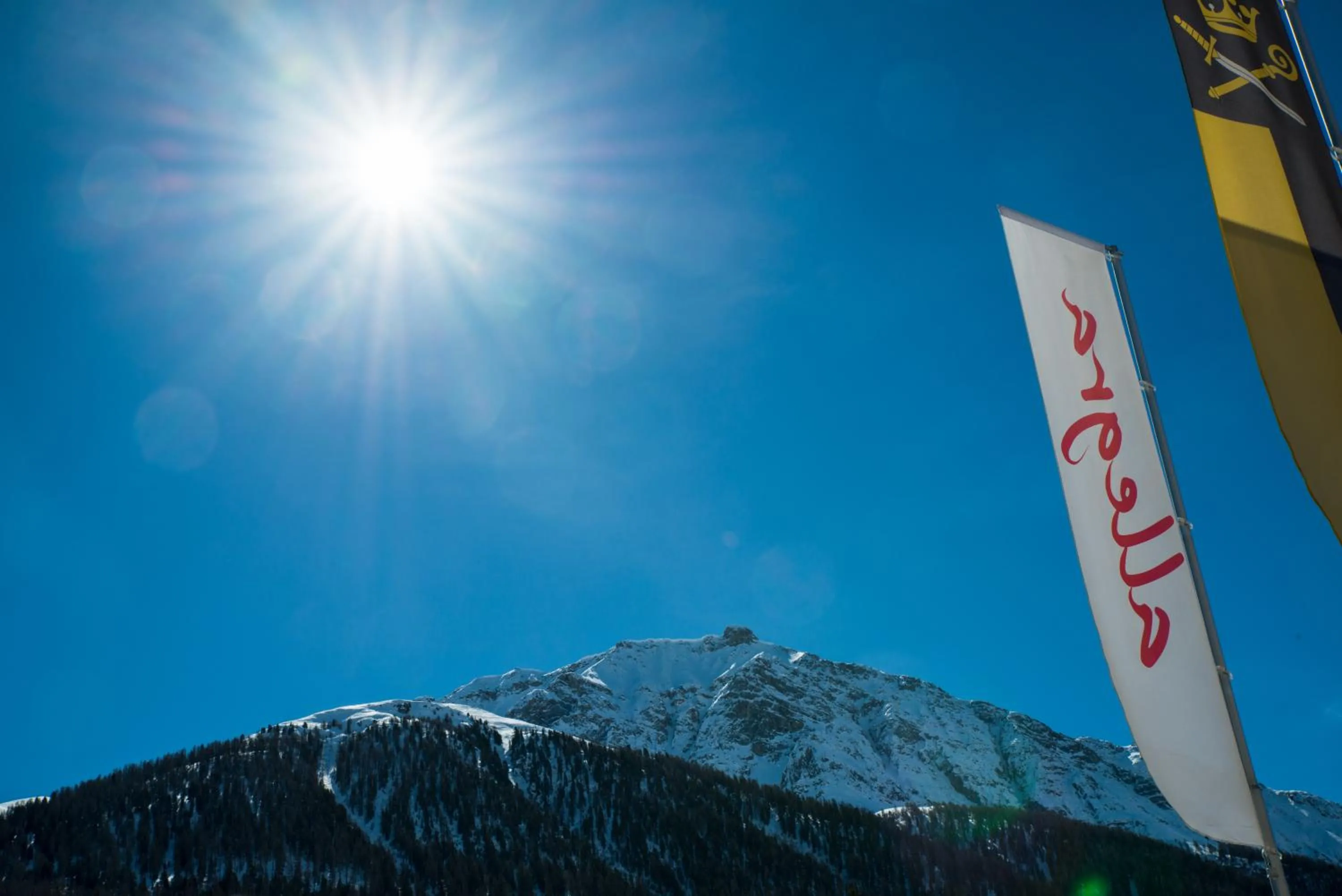 Property logo or sign in Hotel Allegra