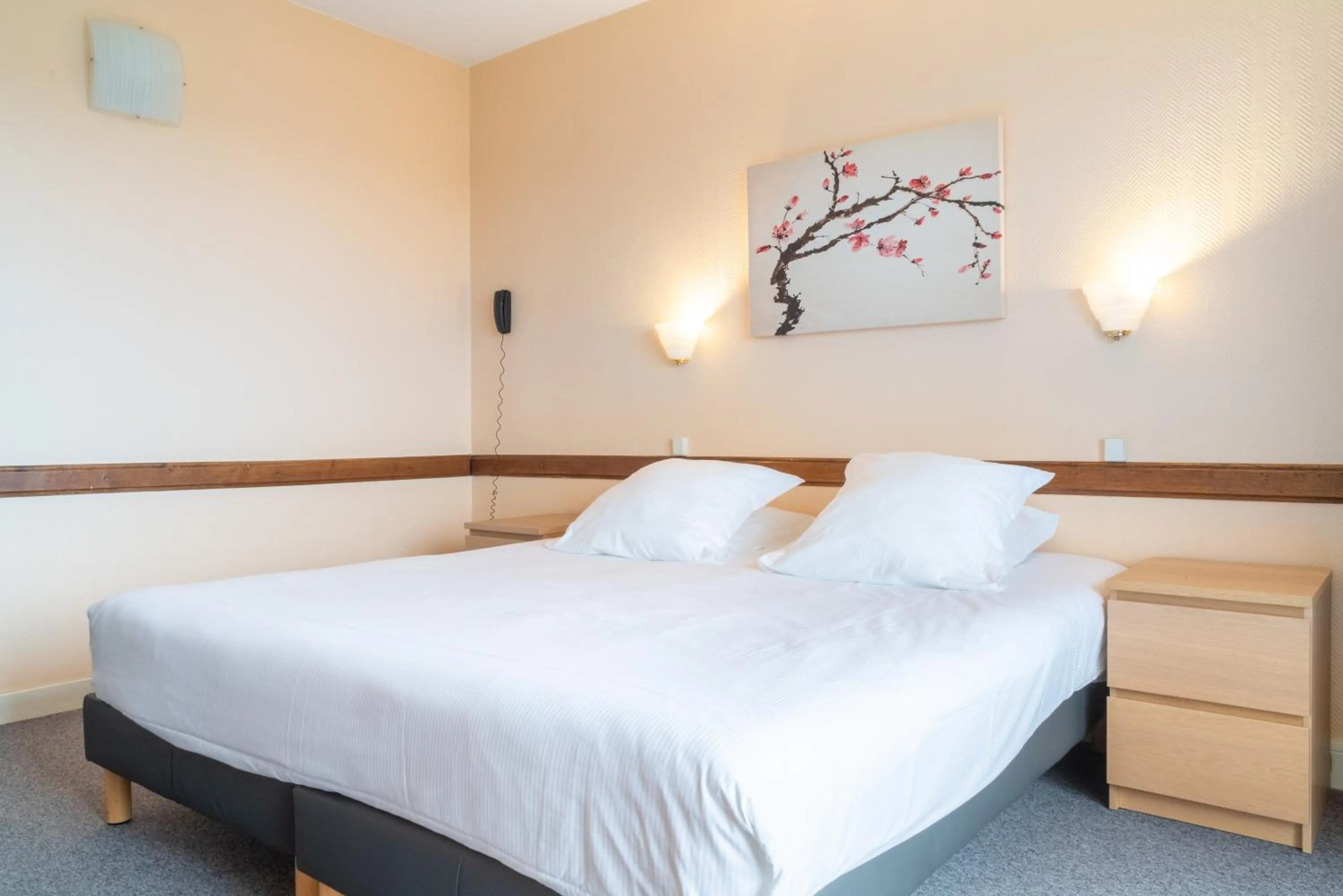 Photo of the whole room, Bed in Brit Hotel Le Parc Vichy