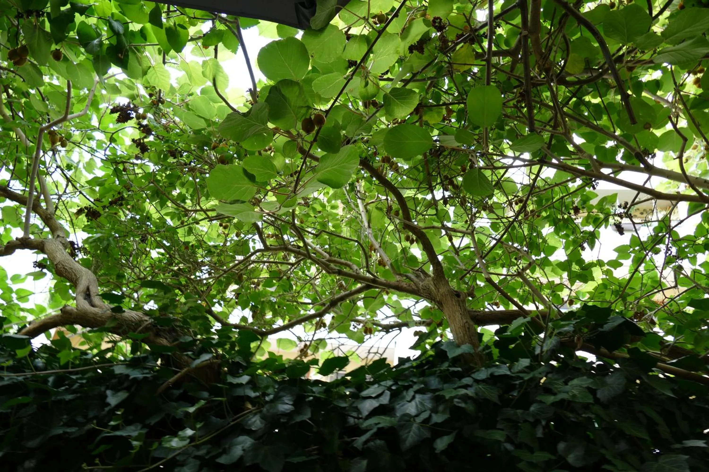 Other in Hotel La Principessa