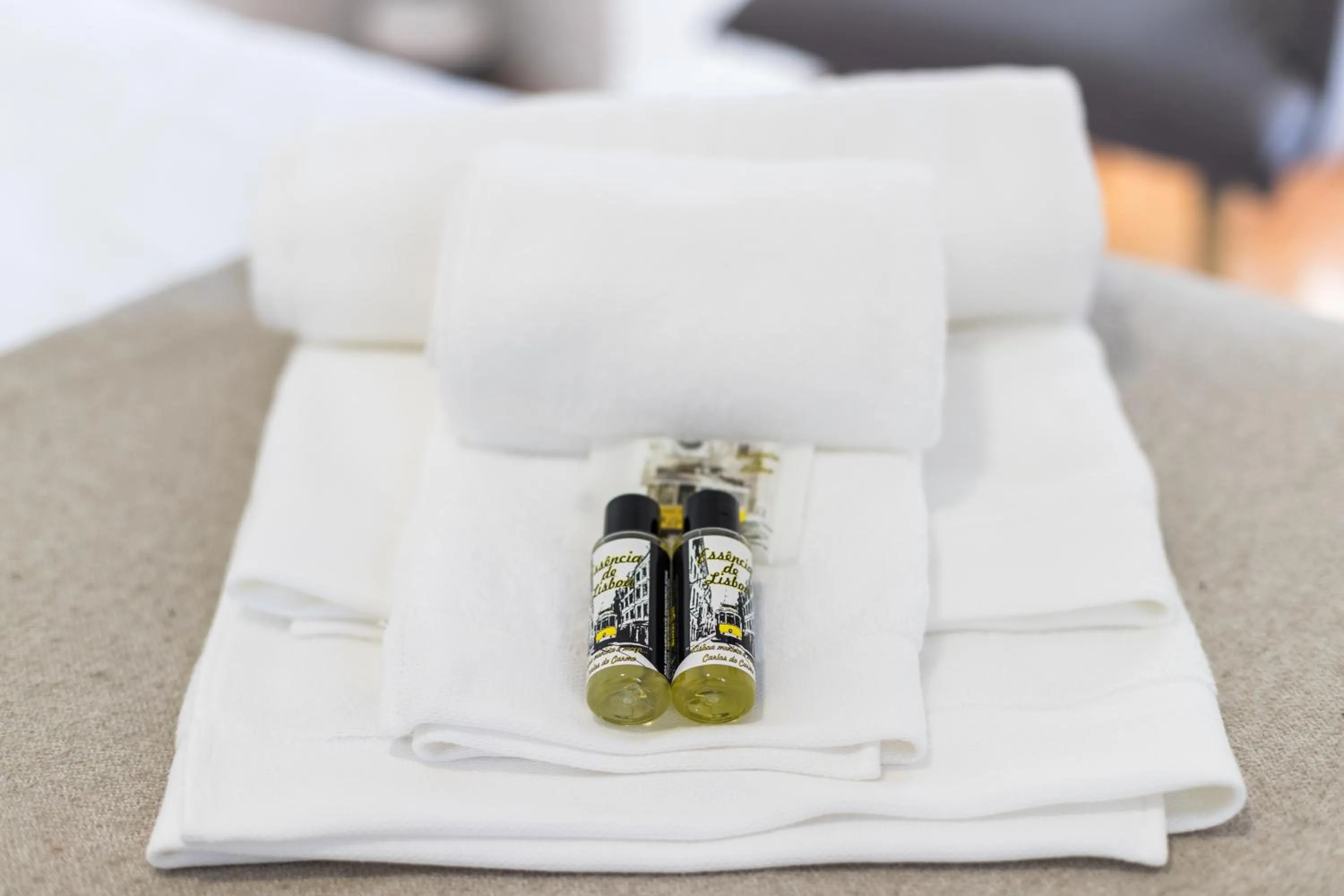 Decorative detail in Apartments Center Alfama