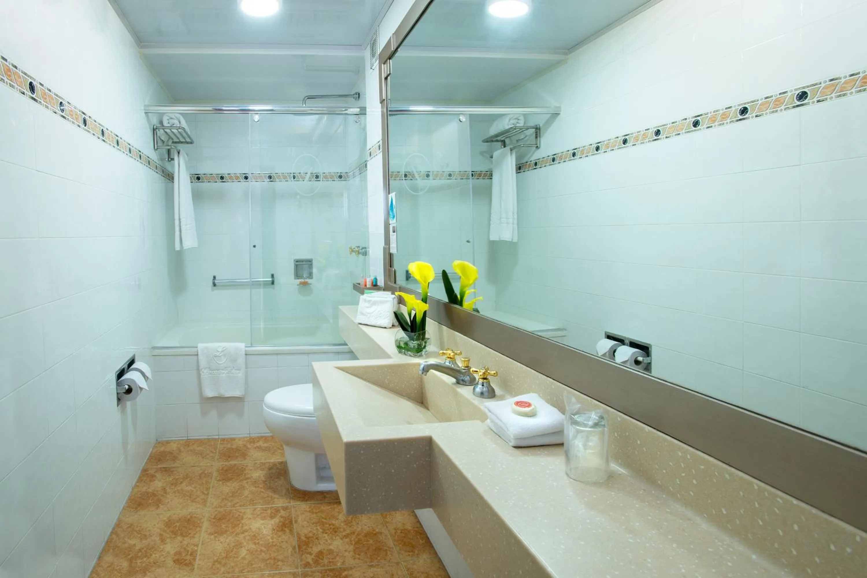 Toilet in Lancaster House