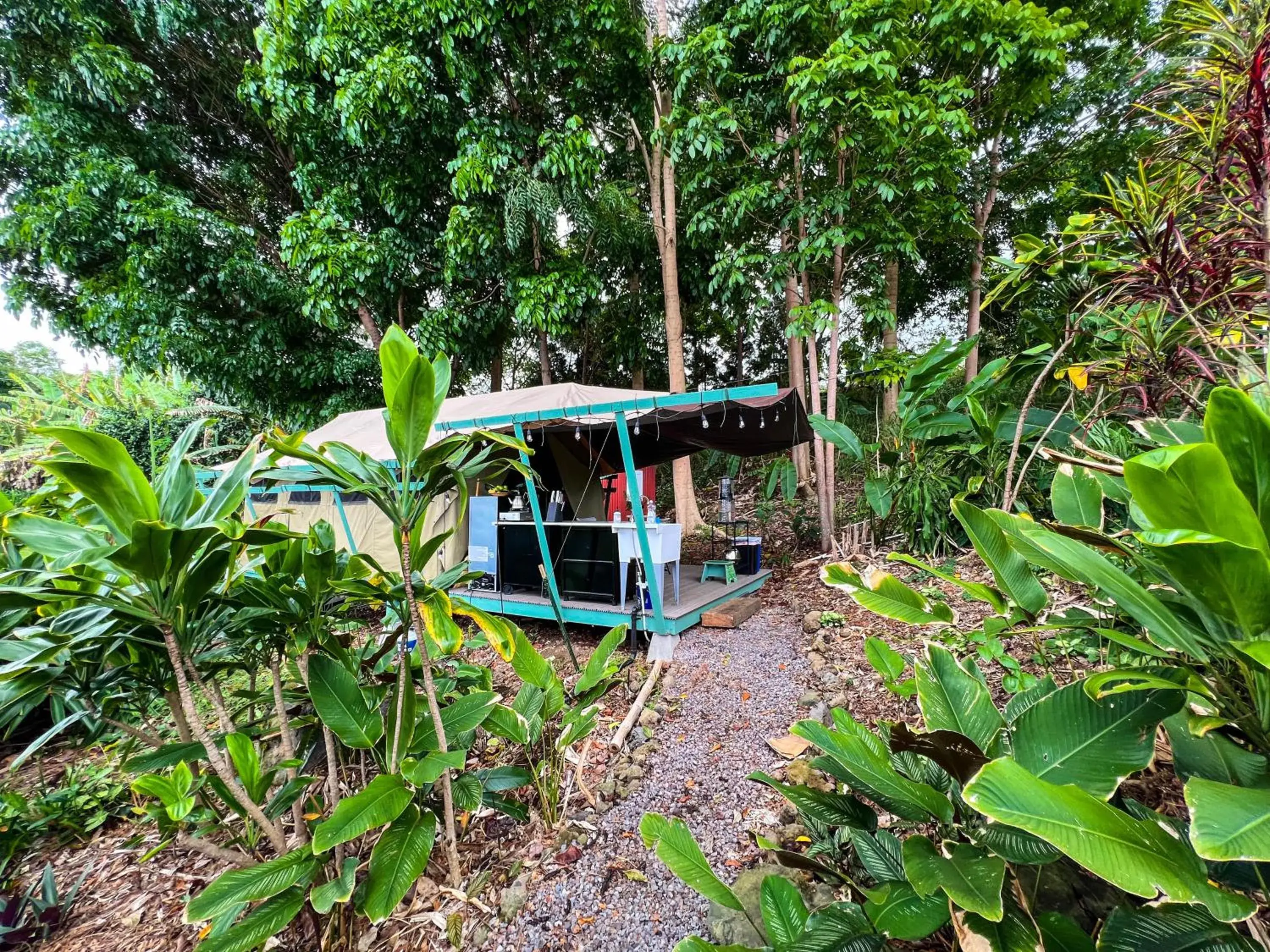 Double Room in Gingerhill Farm Retreat Double Room in Gingerhill Farm Retreat