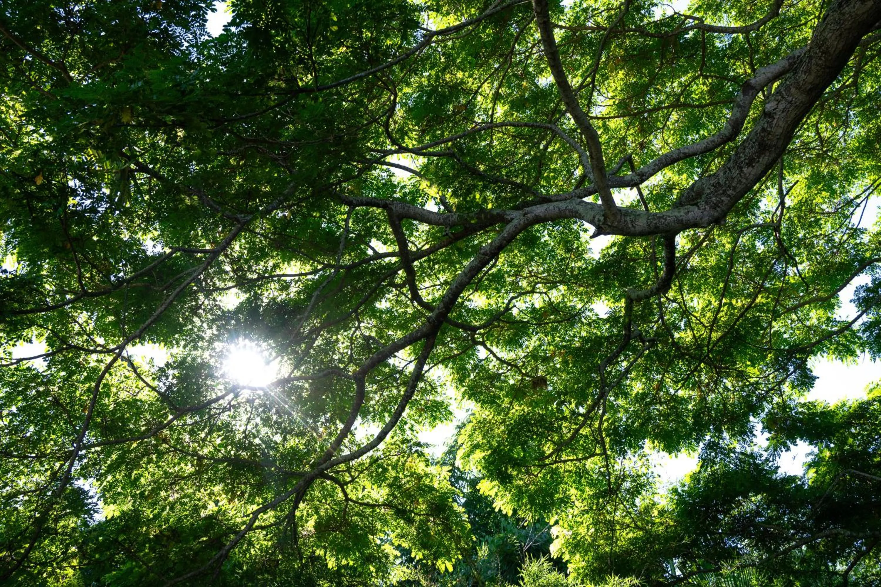 Decorative detail in Gingerhill Farm Retreat