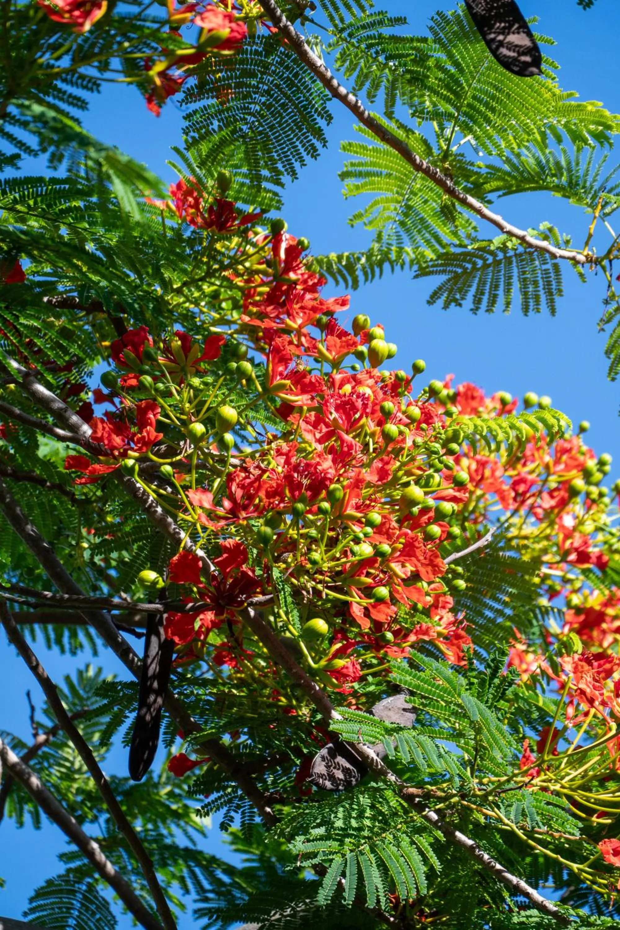 Decorative detail in Gingerhill Farm Retreat