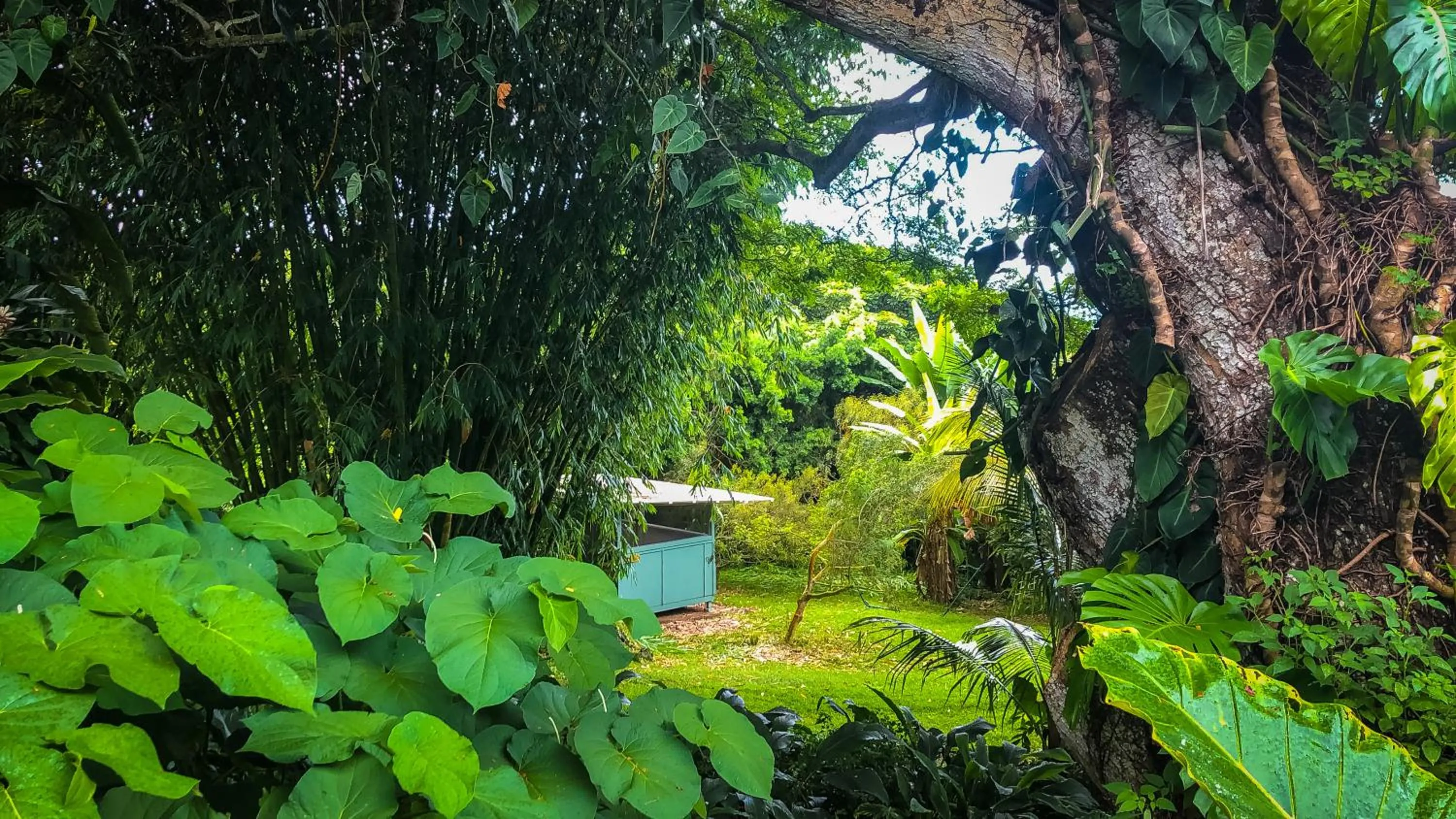 Natural landscape in Gingerhill Farm Retreat