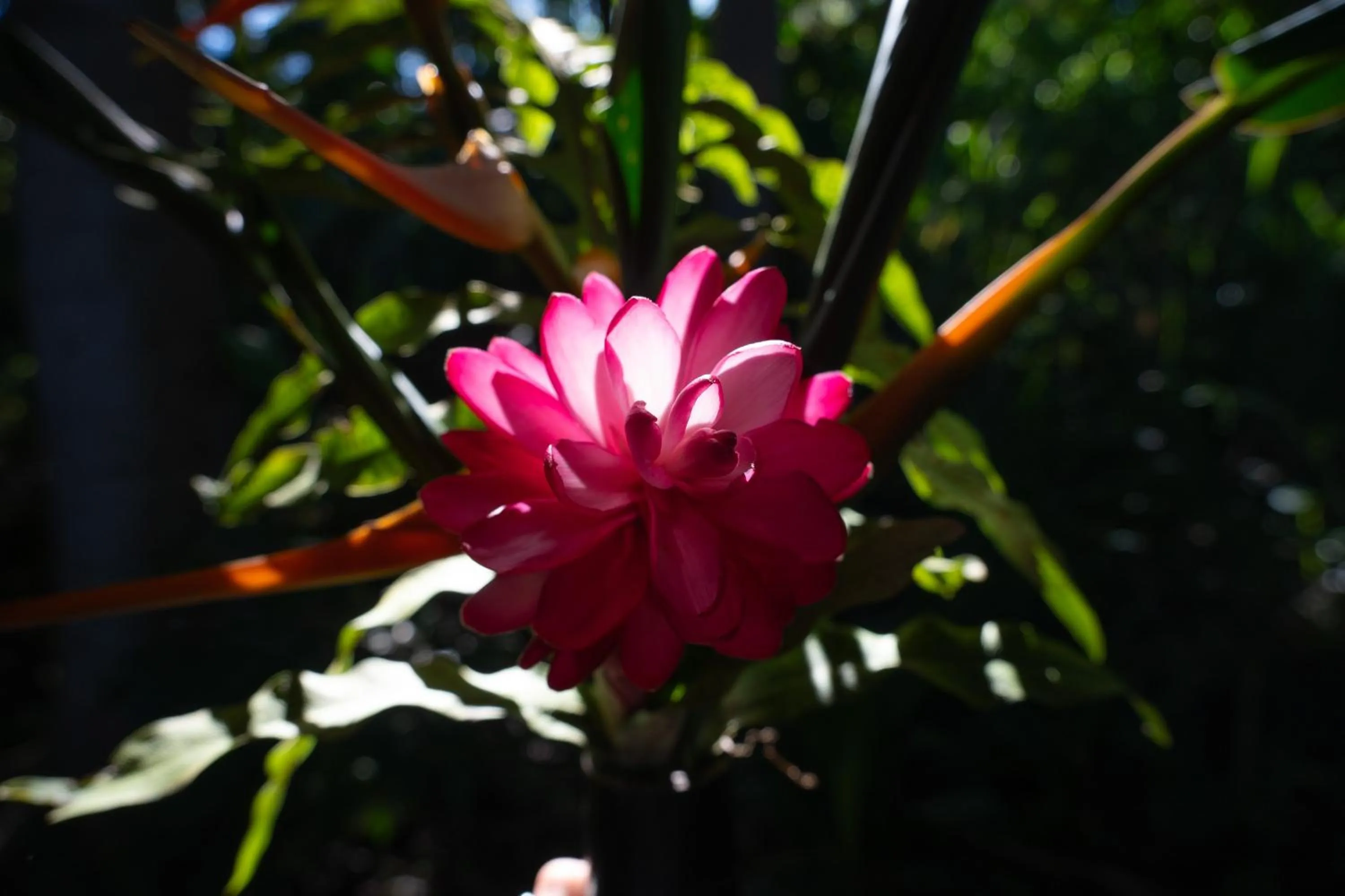 Decorative detail in Gingerhill Farm Retreat