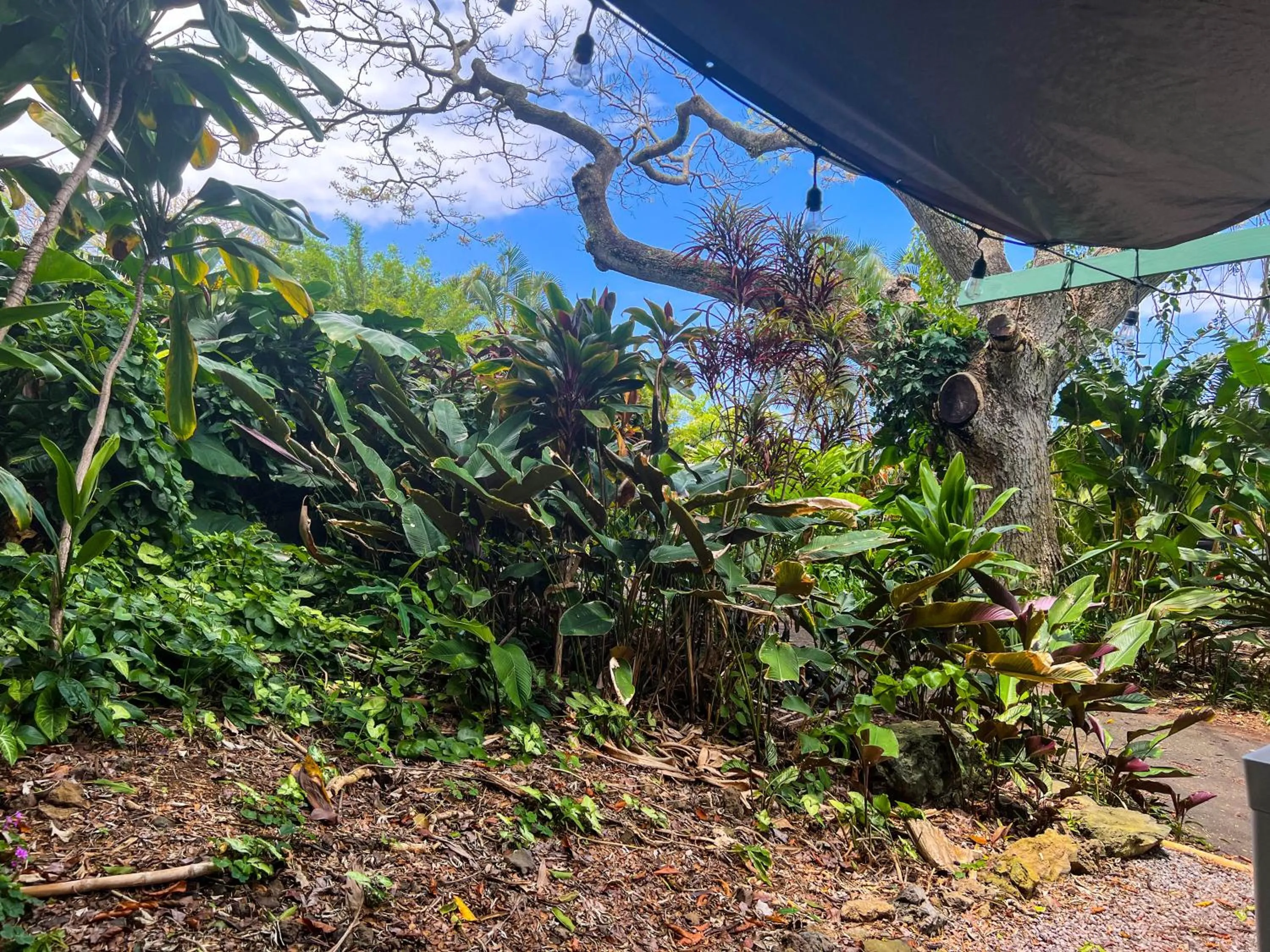 Natural landscape in Gingerhill Farm Retreat