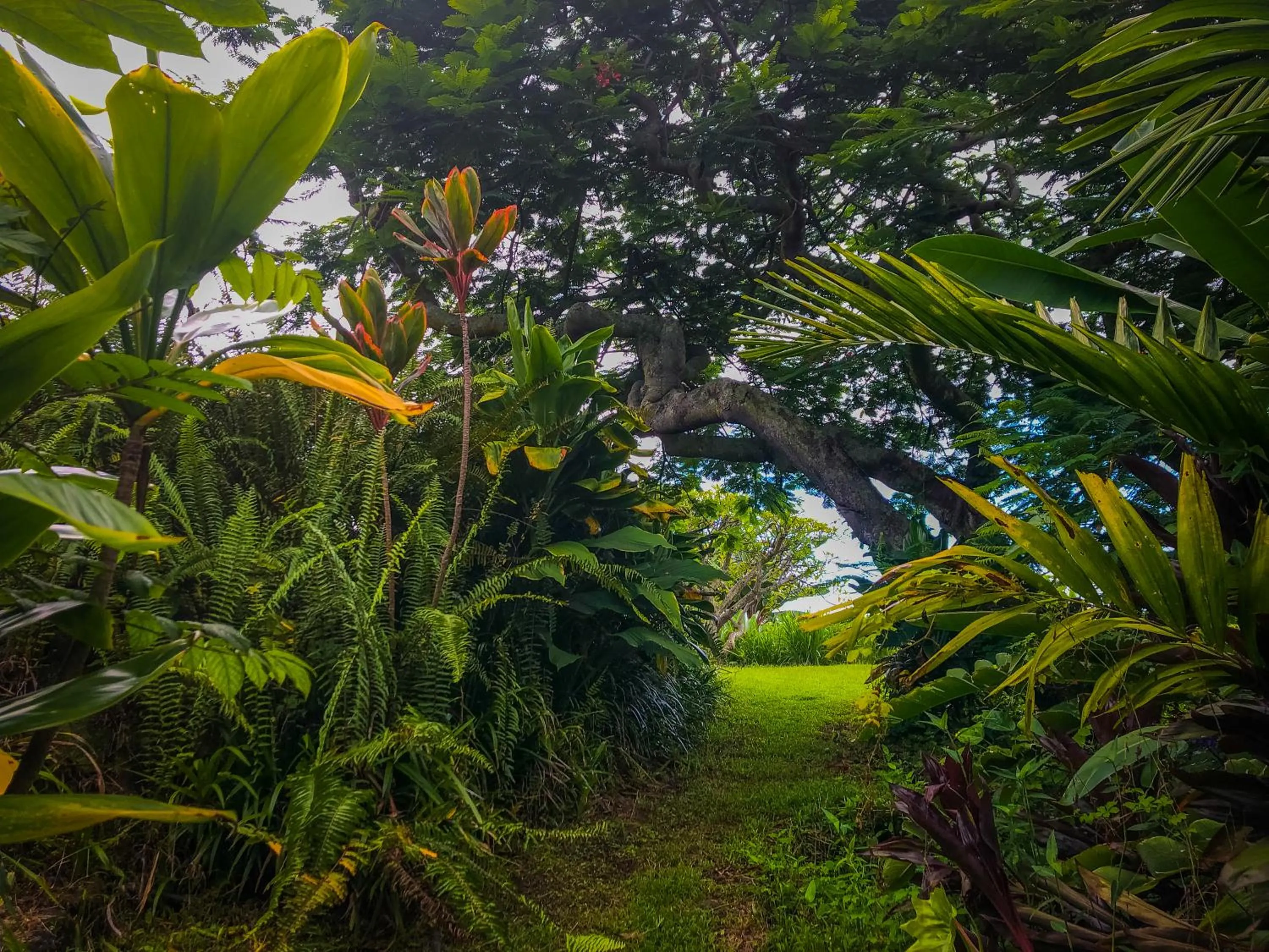 Natural landscape in Gingerhill Farm Retreat