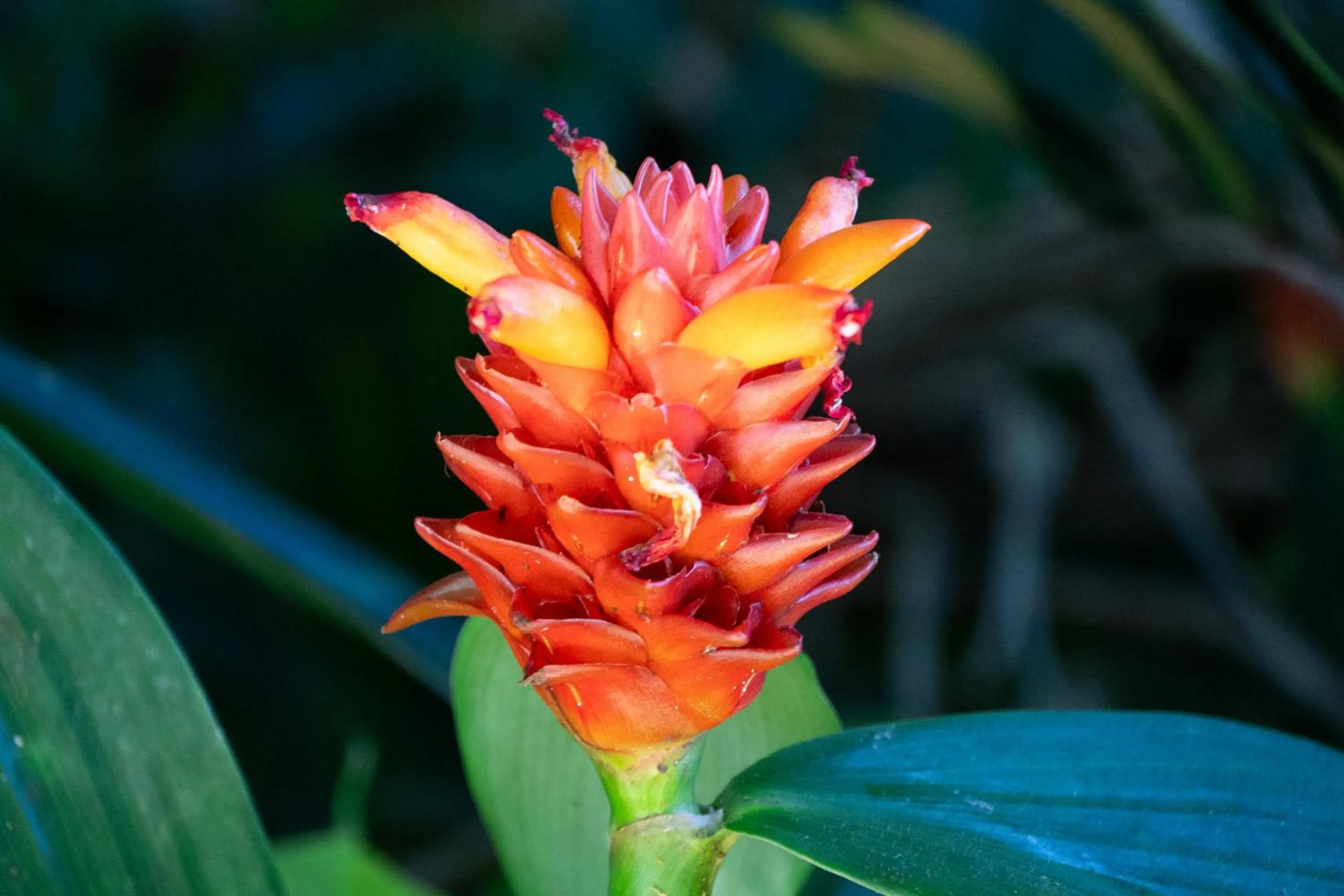 Decorative detail in Gingerhill Farm Retreat