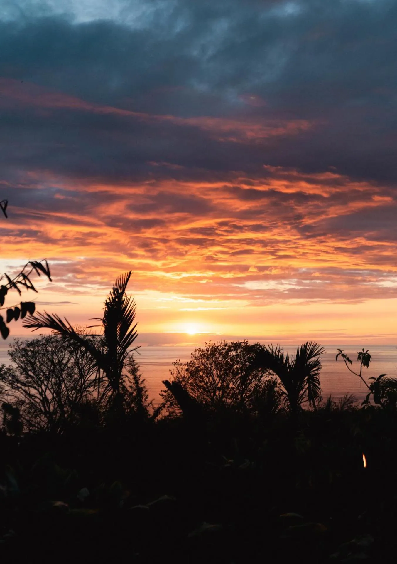 View (from property/room) in Gingerhill Farm Retreat