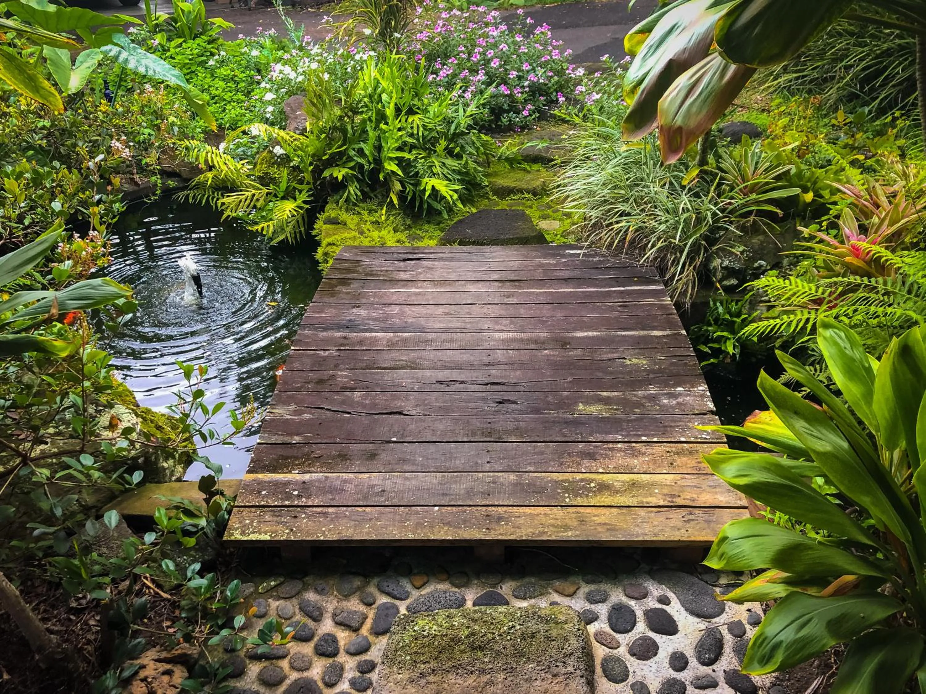 Garden in Gingerhill Farm Retreat