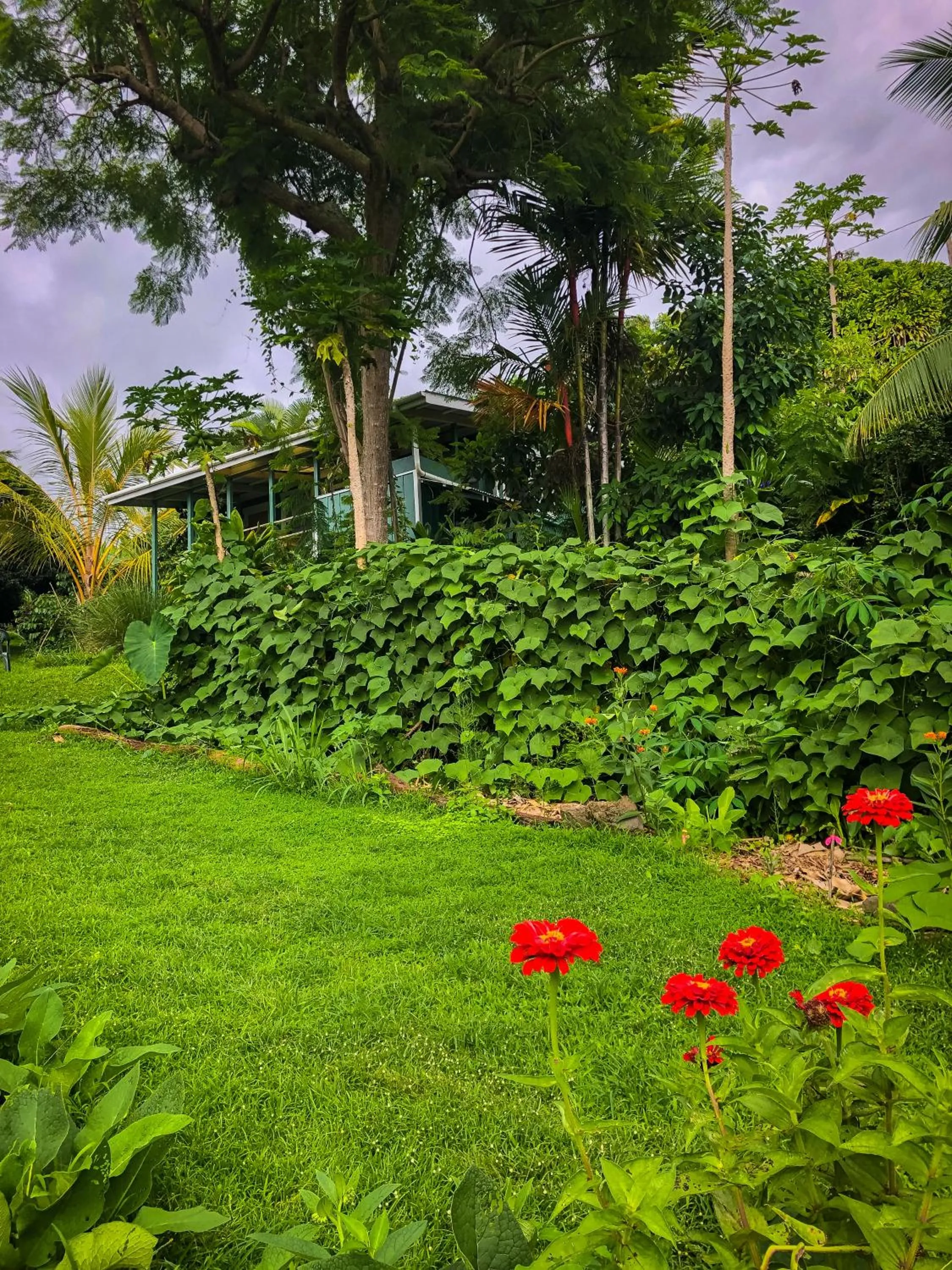 Natural landscape in Gingerhill Farm Retreat
