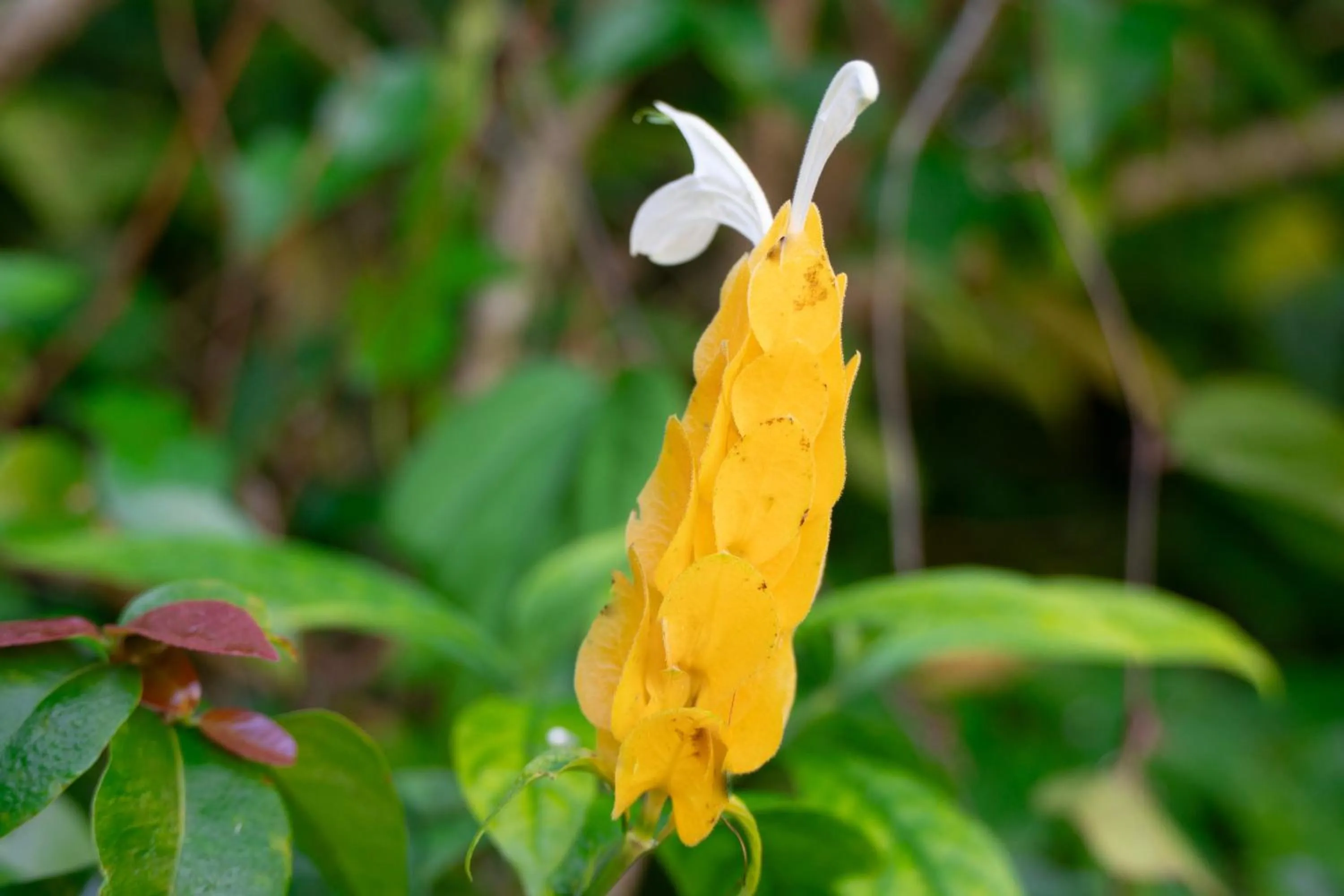 Decorative detail in Gingerhill Farm Retreat