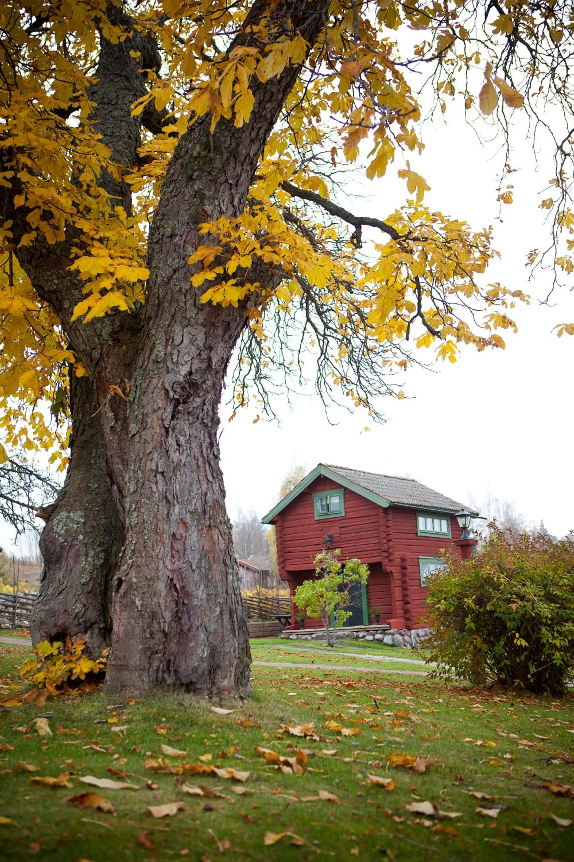Property building in Tällbergsgårdens Hotell