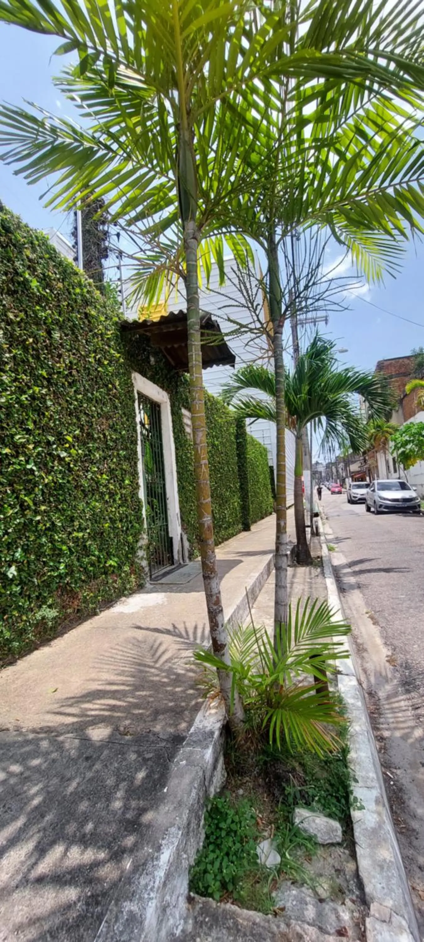 Street view in Ecopousada Miriti