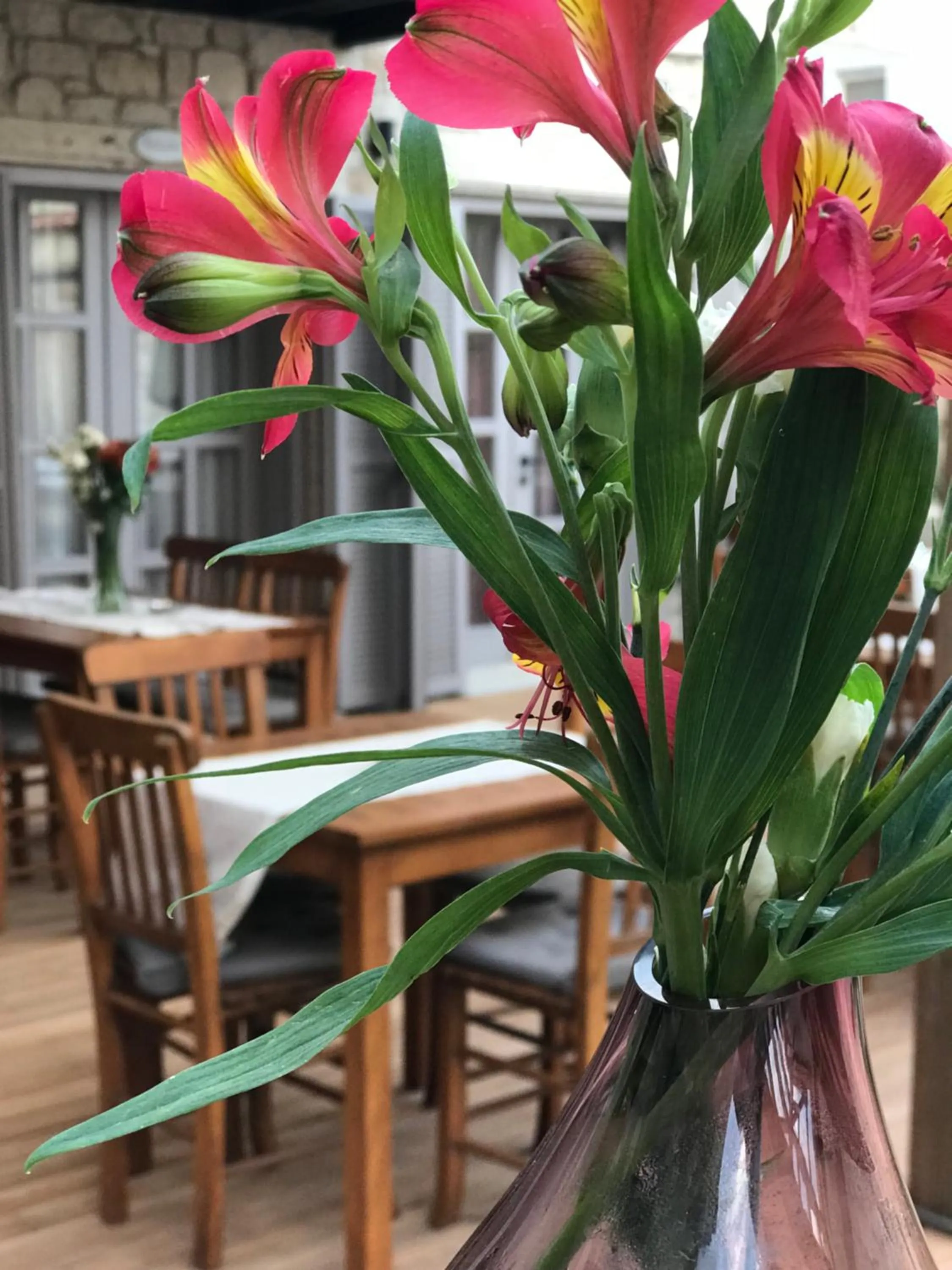 Garden in Çona Otel