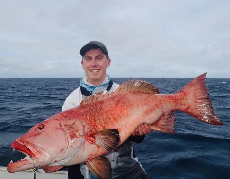 Volivoli Beach Resort